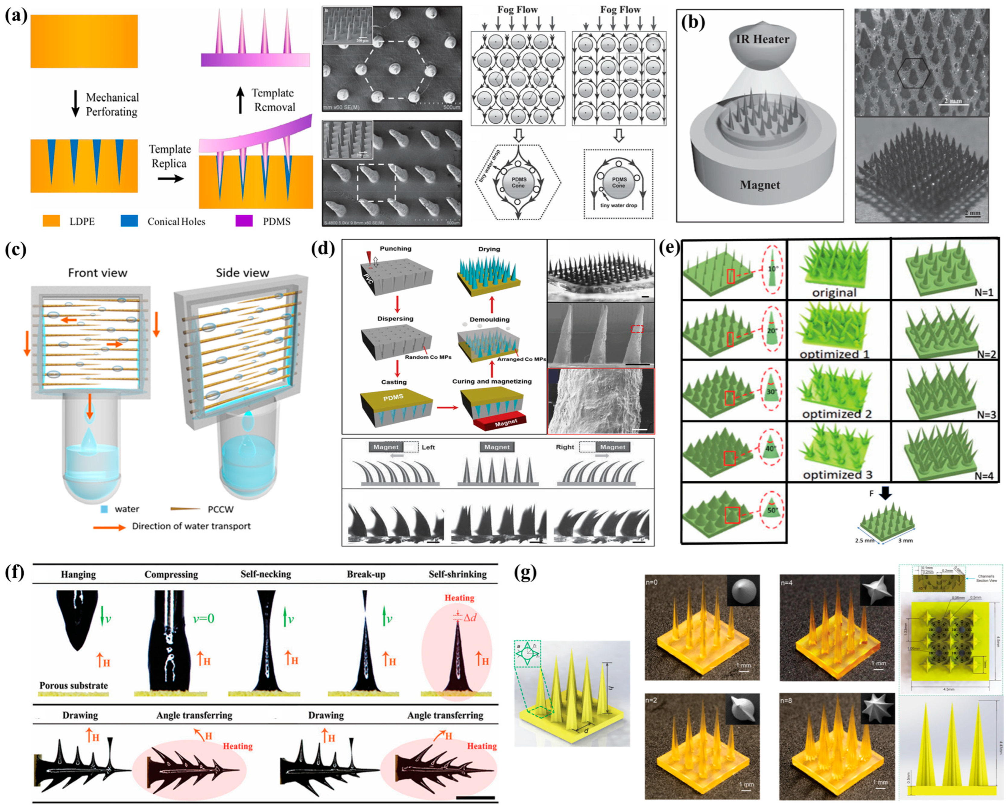 Biomimetics 10 00791 g010