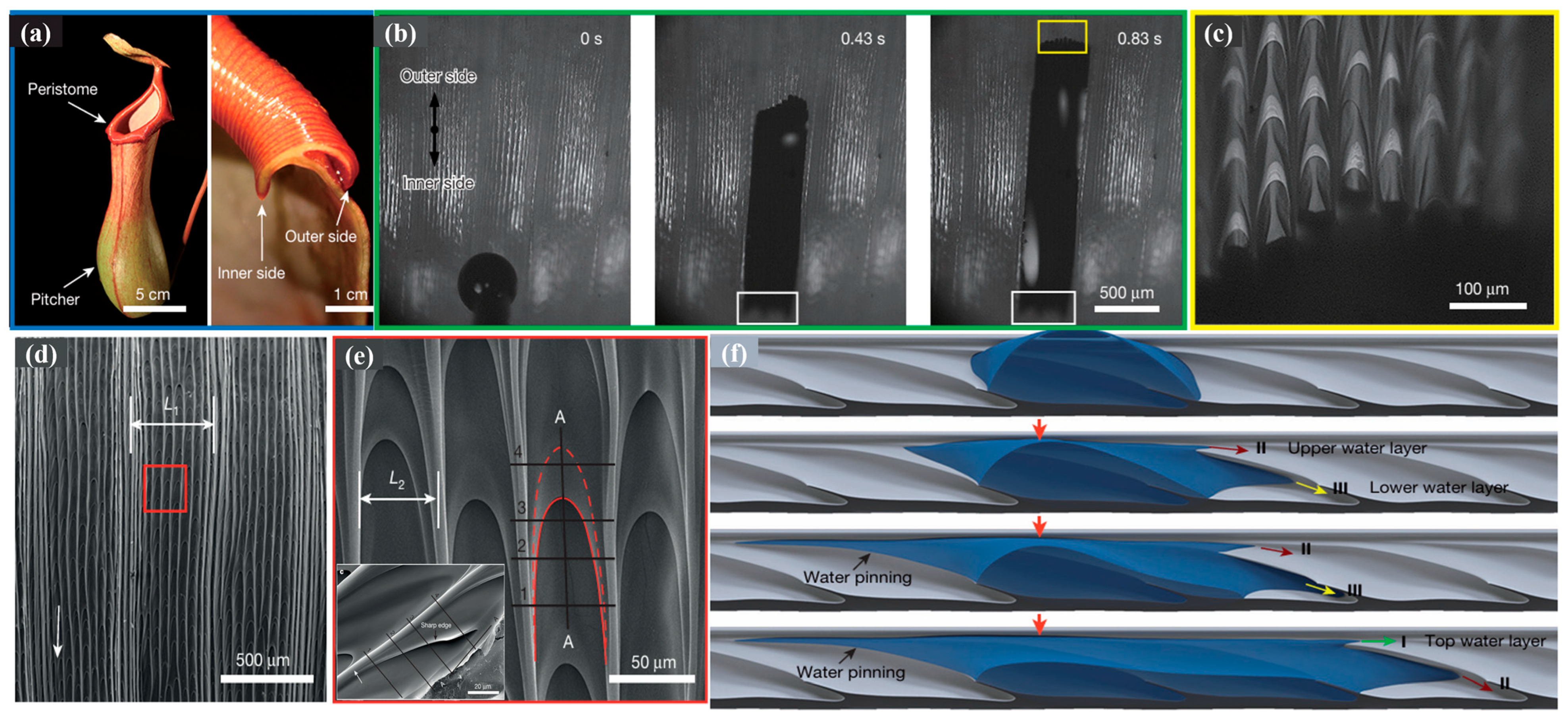 Biomimetics 10 00791 g013
