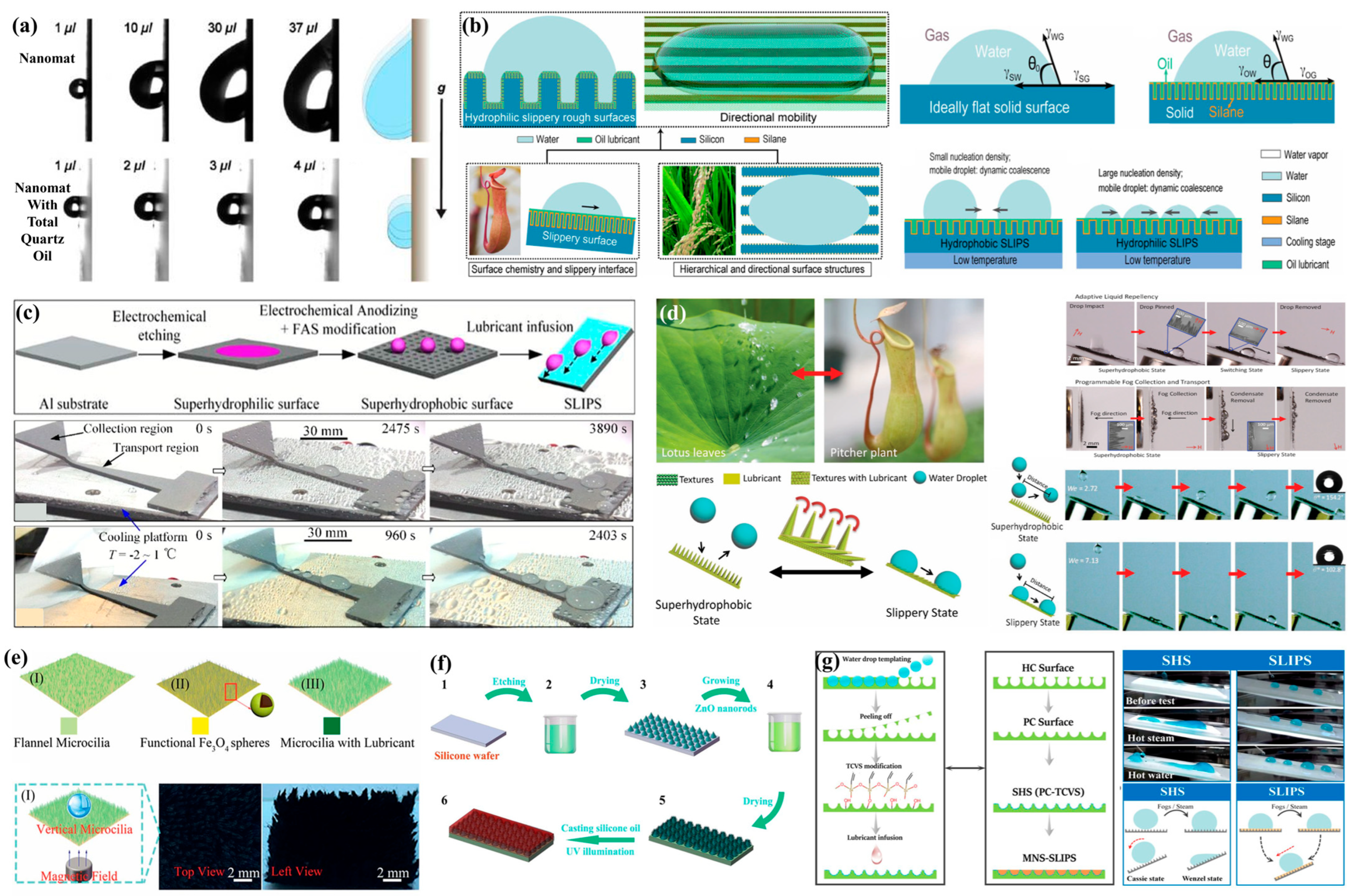Biomimetics 10 00791 g014