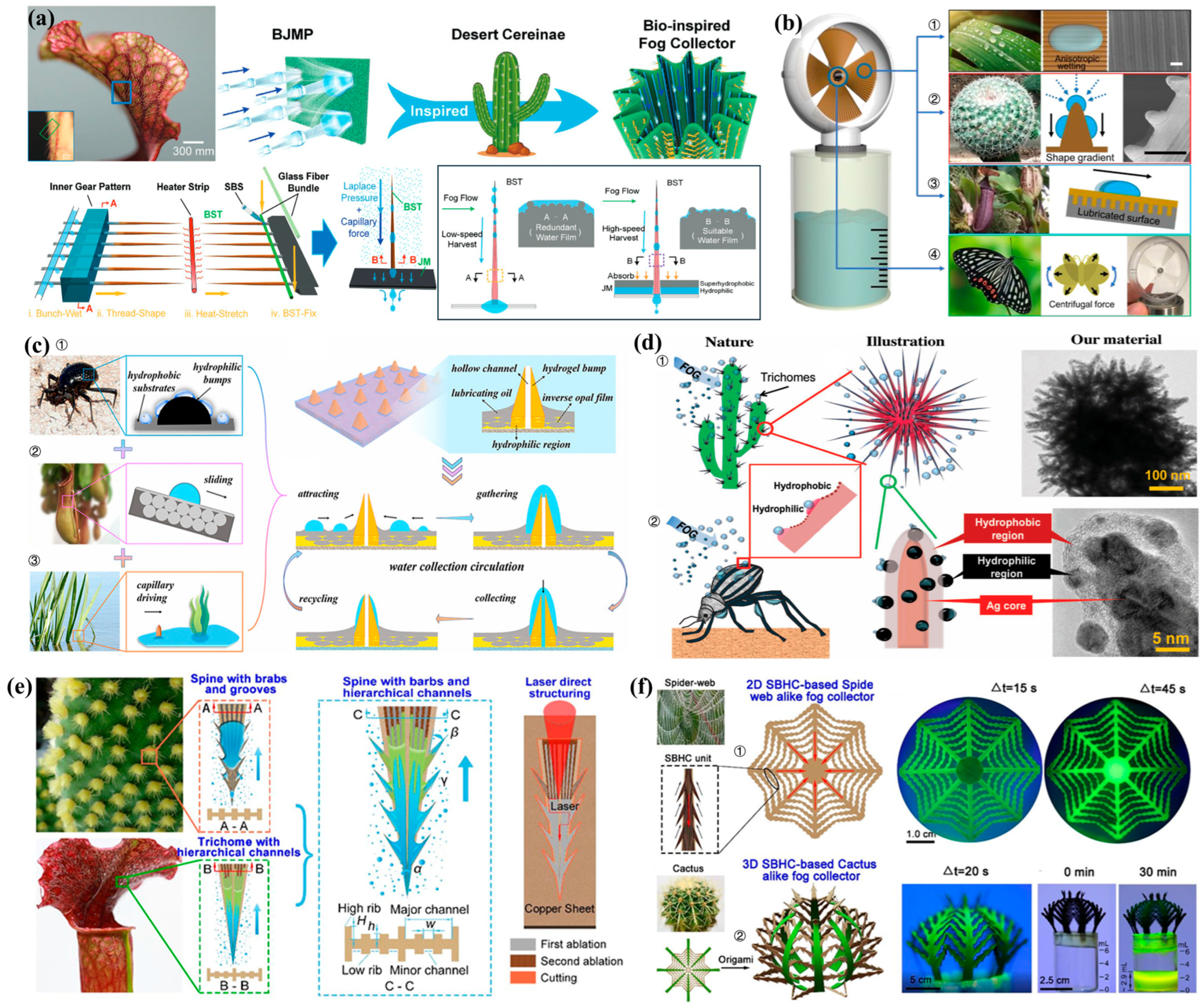 Biomimetics 10 00791 g015