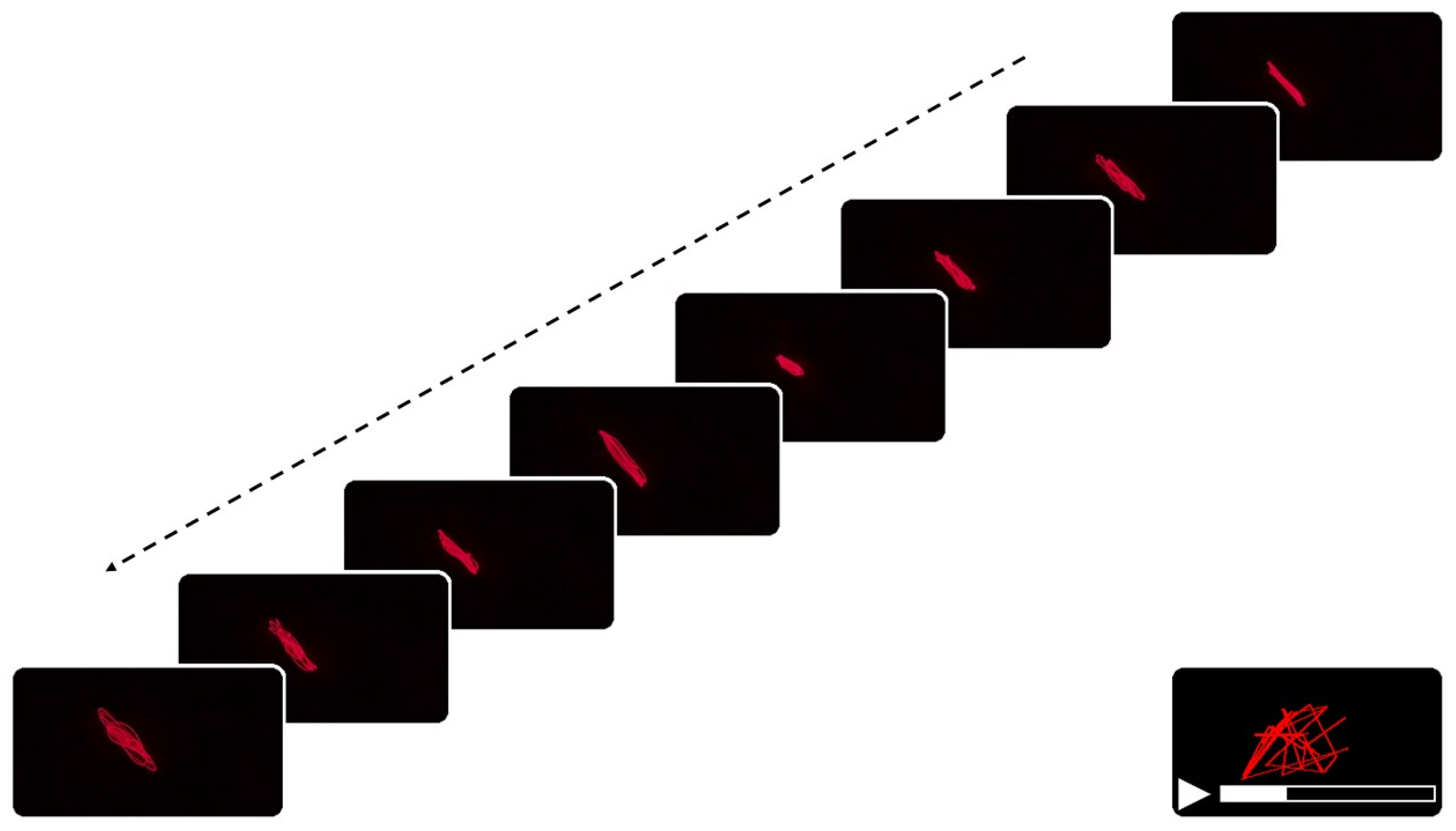 Biomimetics 10 00792 g003