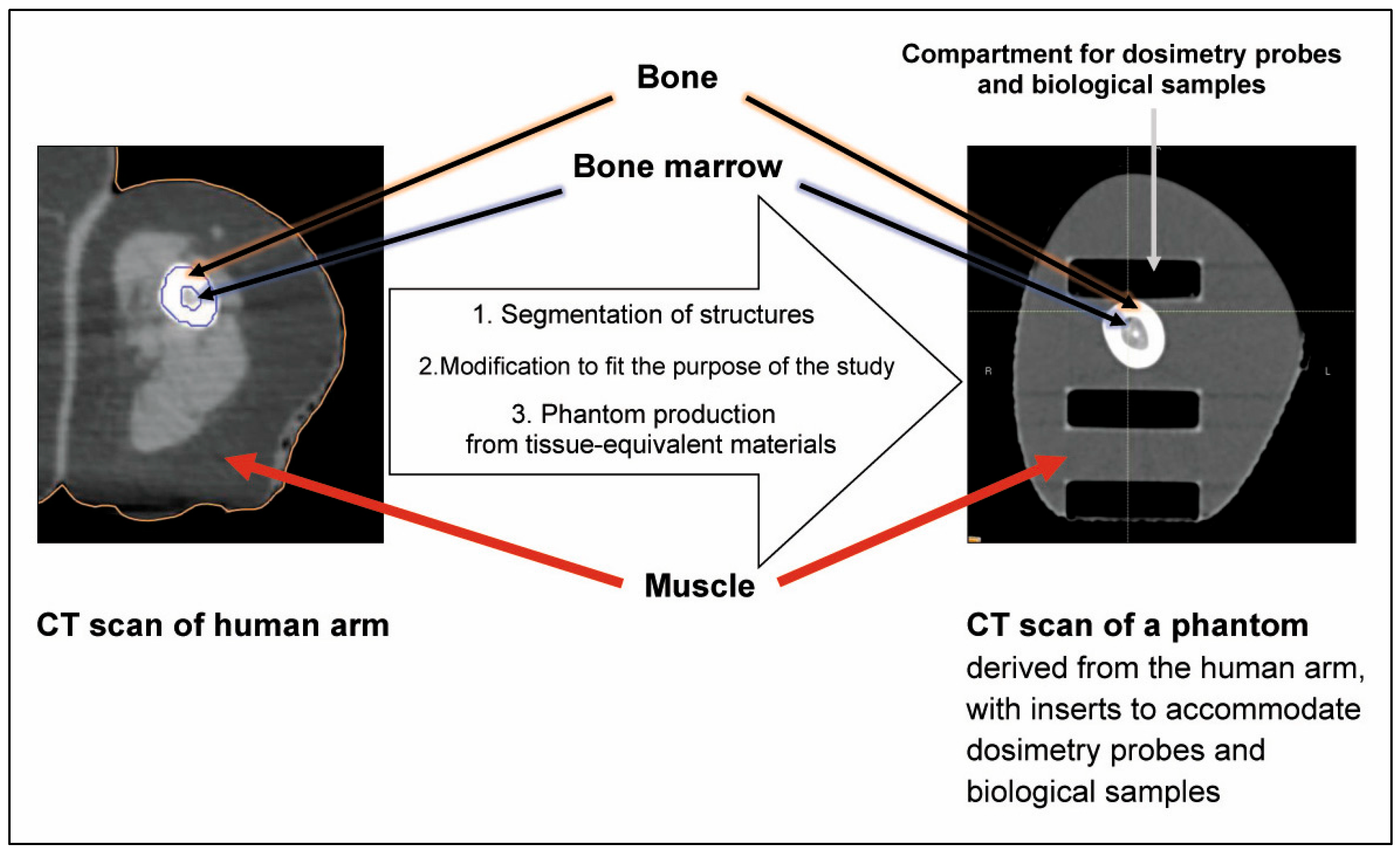 Biomimetics 10 00794 g001