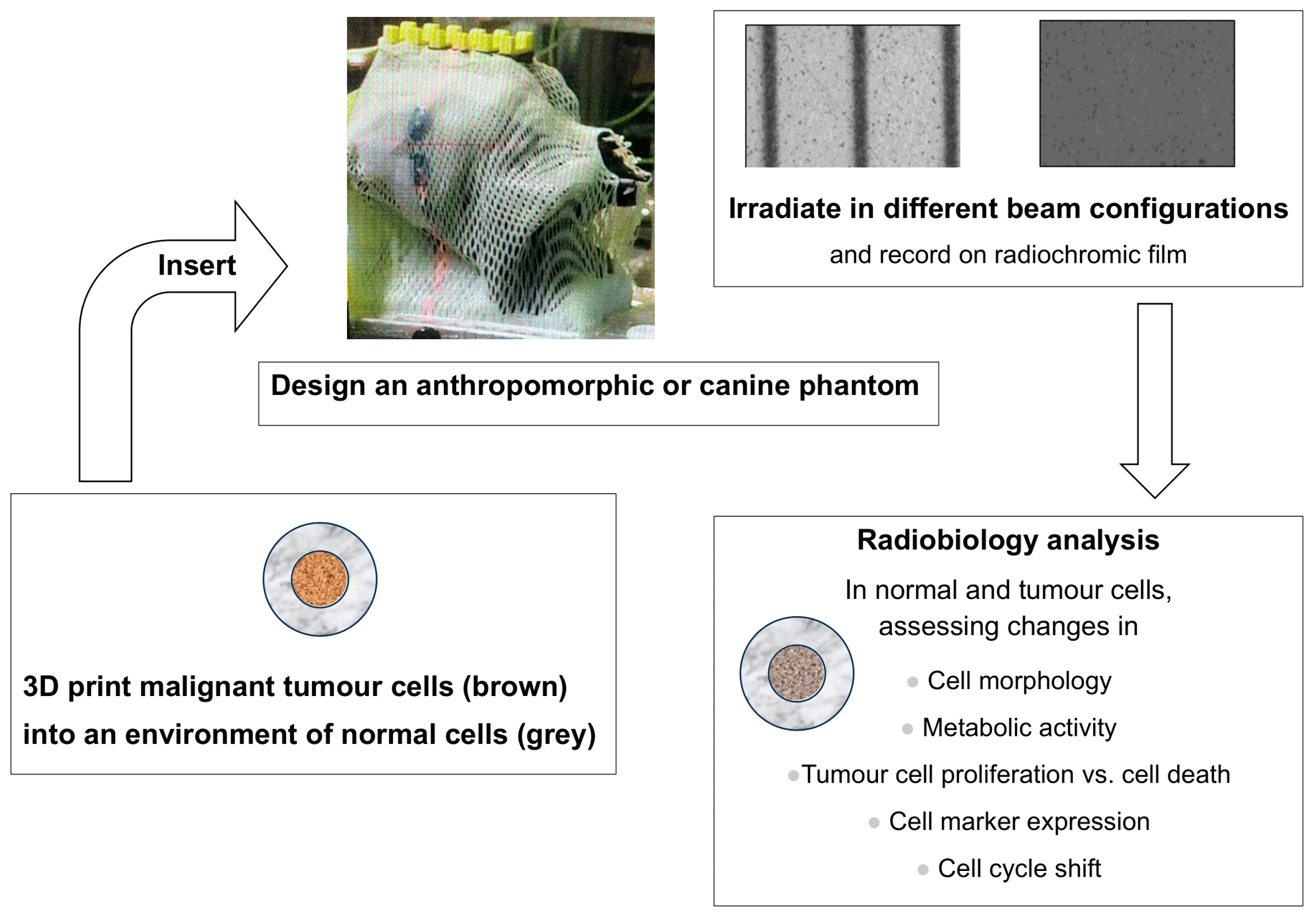 Biomimetics 10 00794 g003