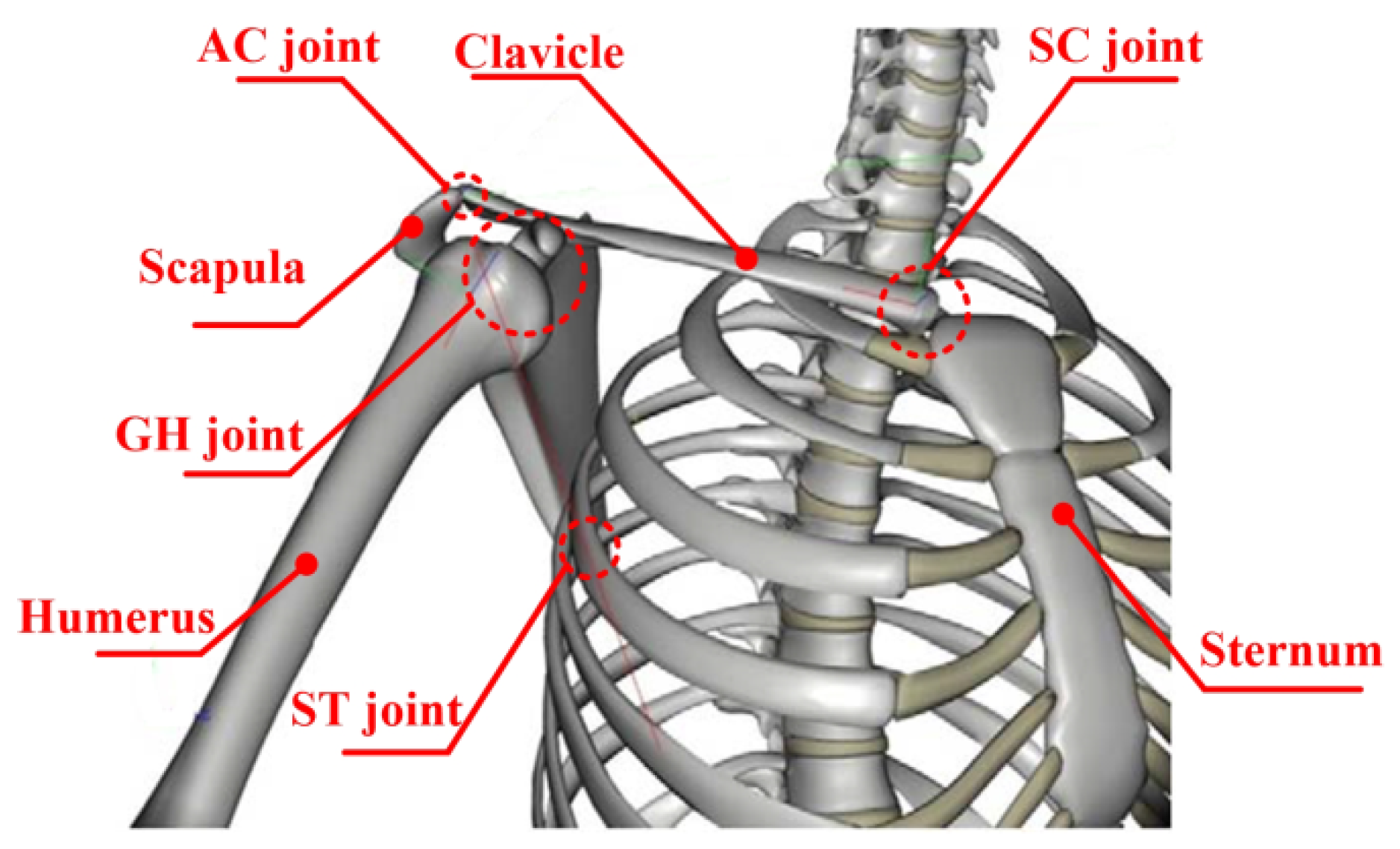 Biomimetics 10 00795 g001