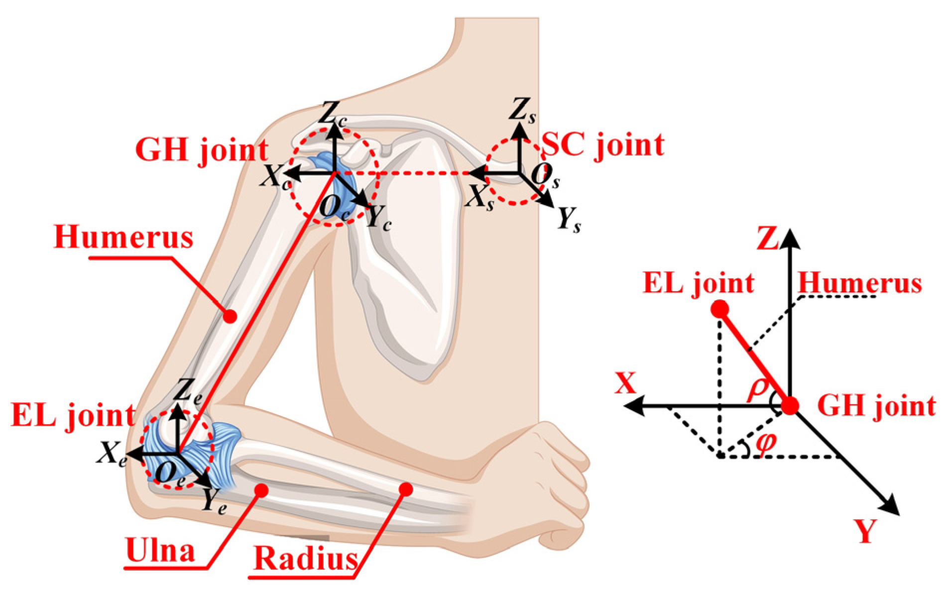 Biomimetics 10 00795 g002