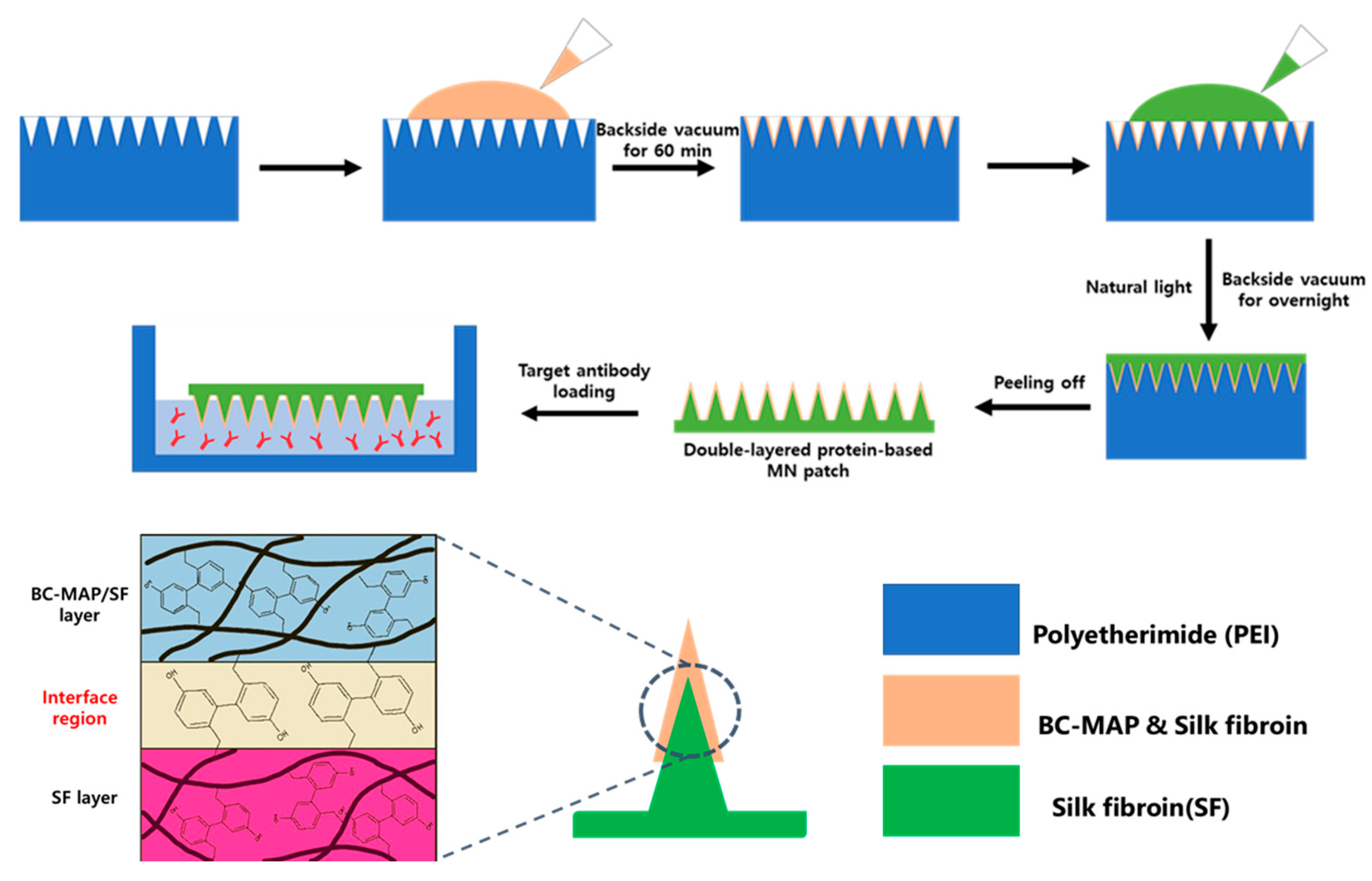 Biomimetics 10 00798 g001