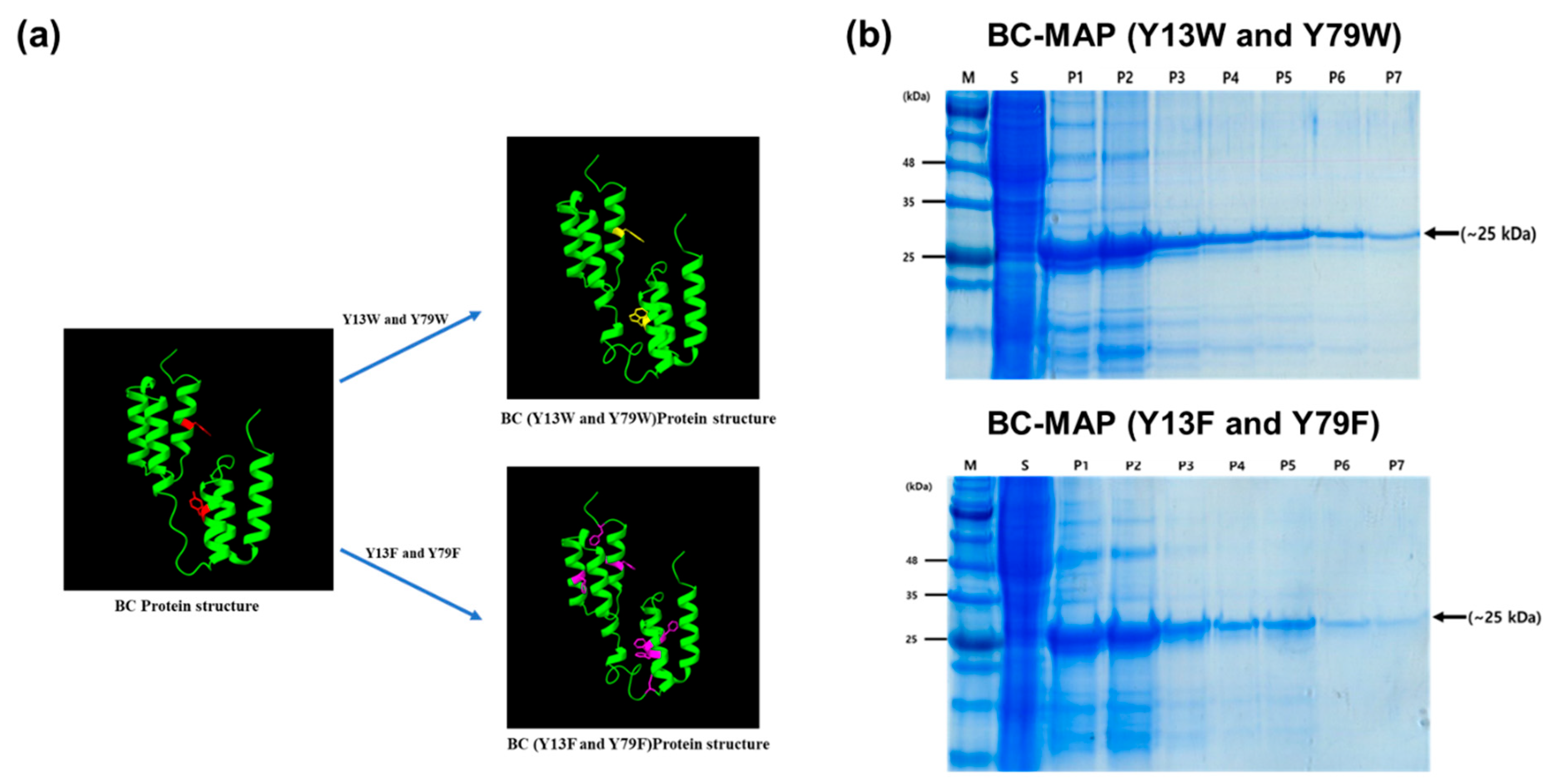 Biomimetics 10 00798 g002