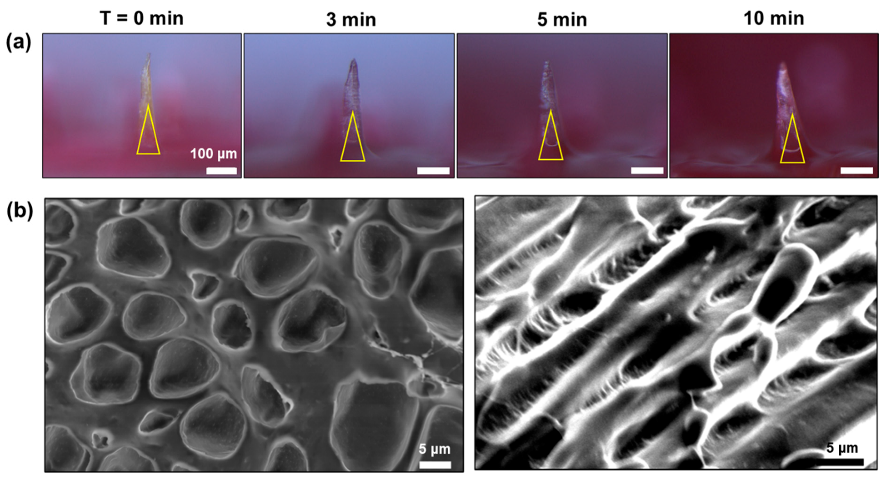 Biomimetics 10 00798 g008