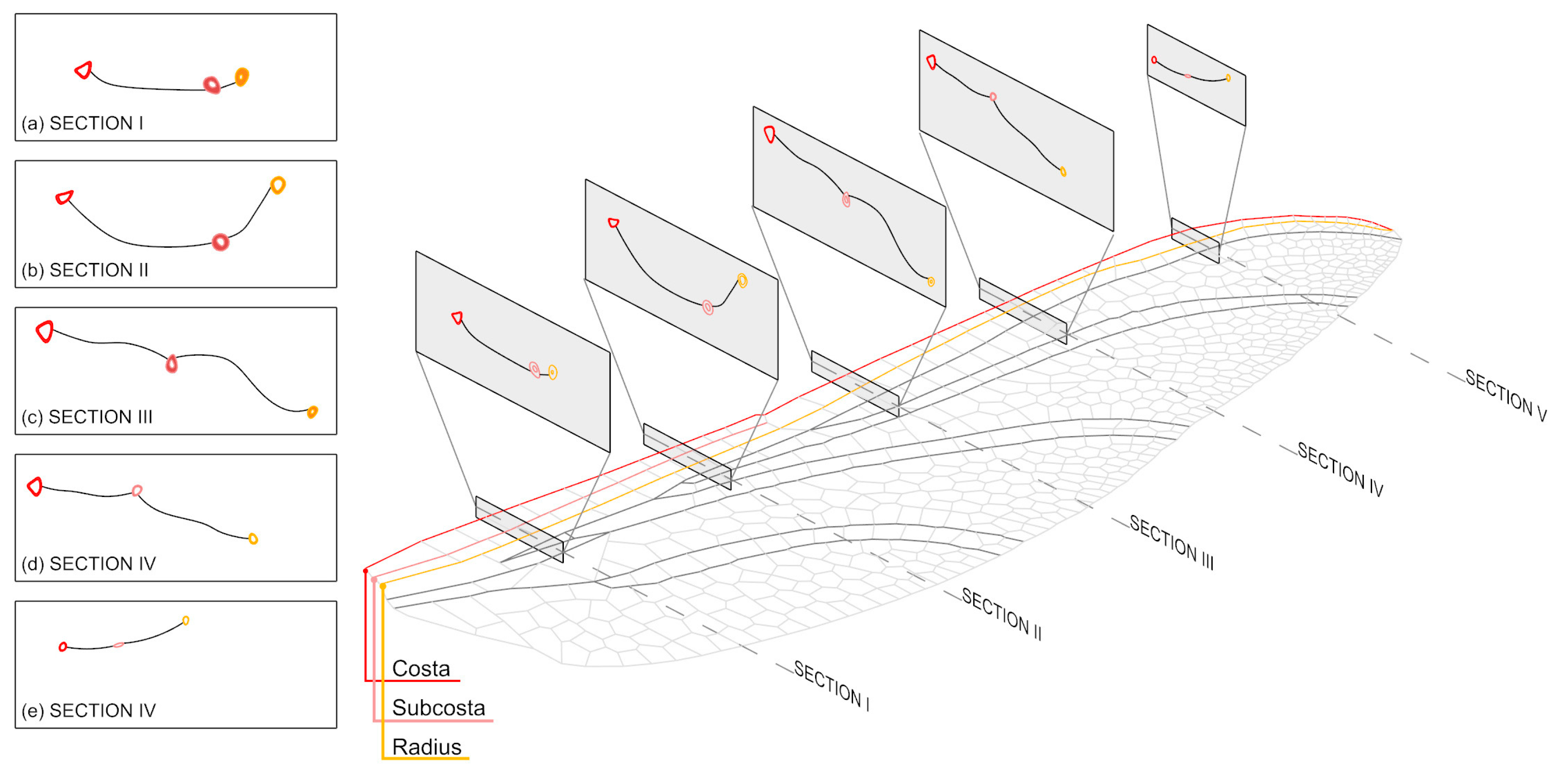 Biomimetics 10 00799 g001