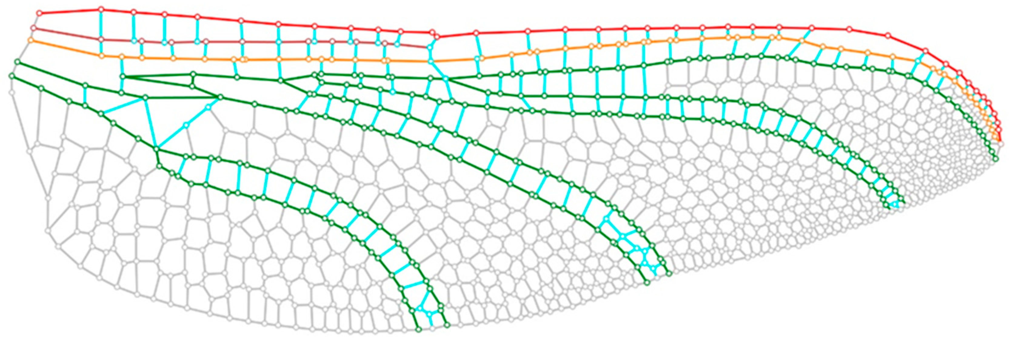 Biomimetics 10 00799 g002