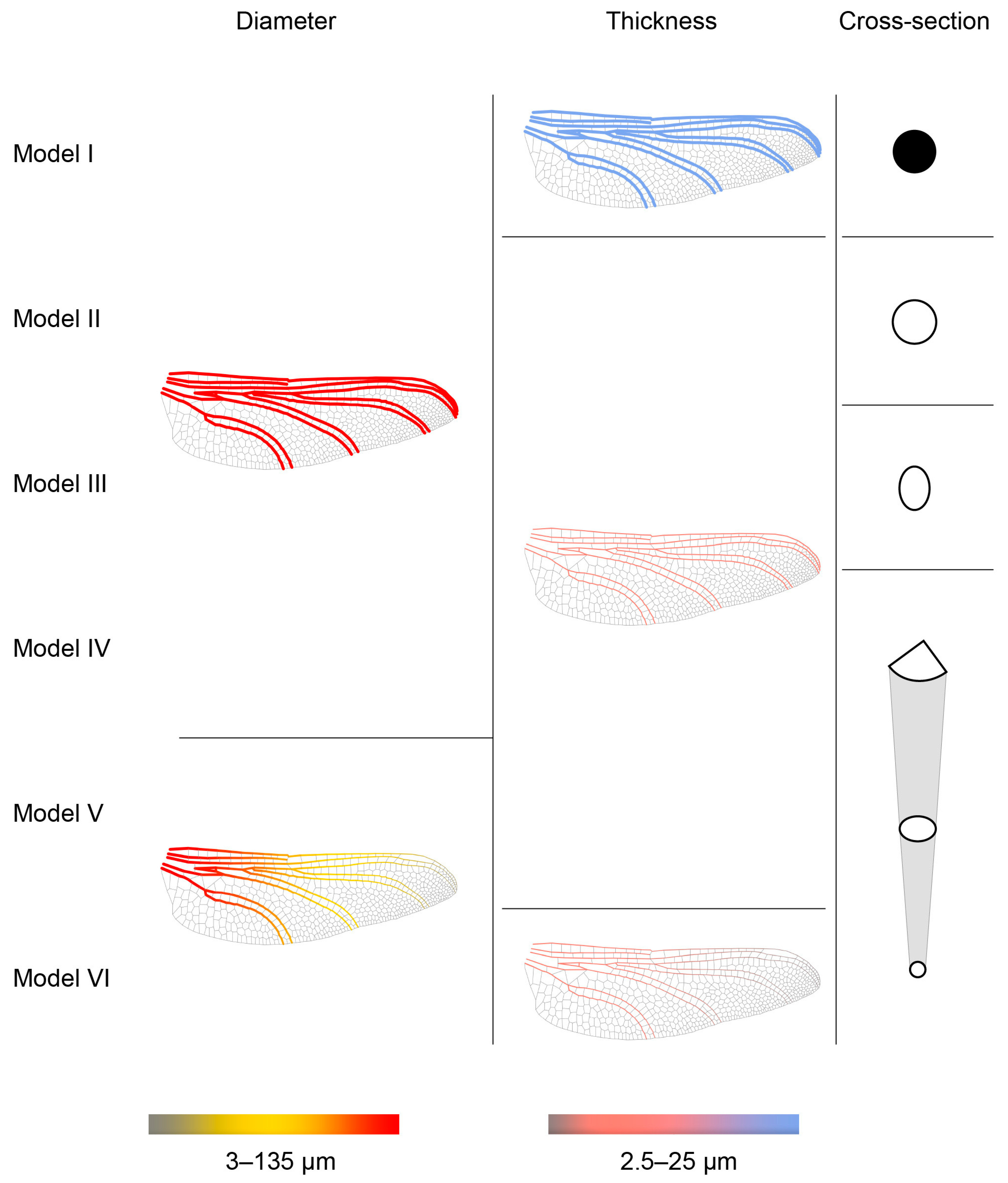 Biomimetics 10 00799 g004