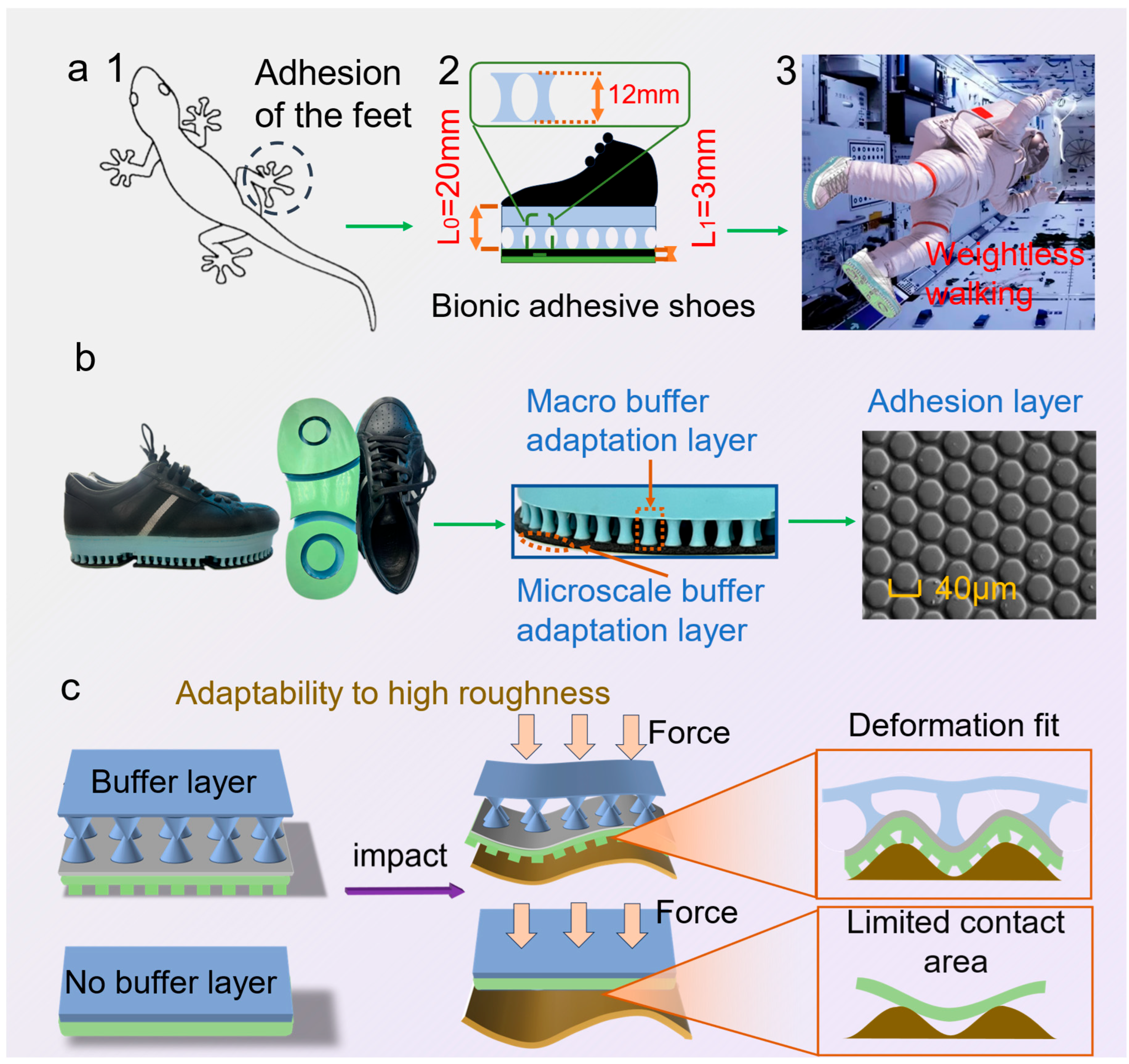 Biomimetics 10 00800 g001