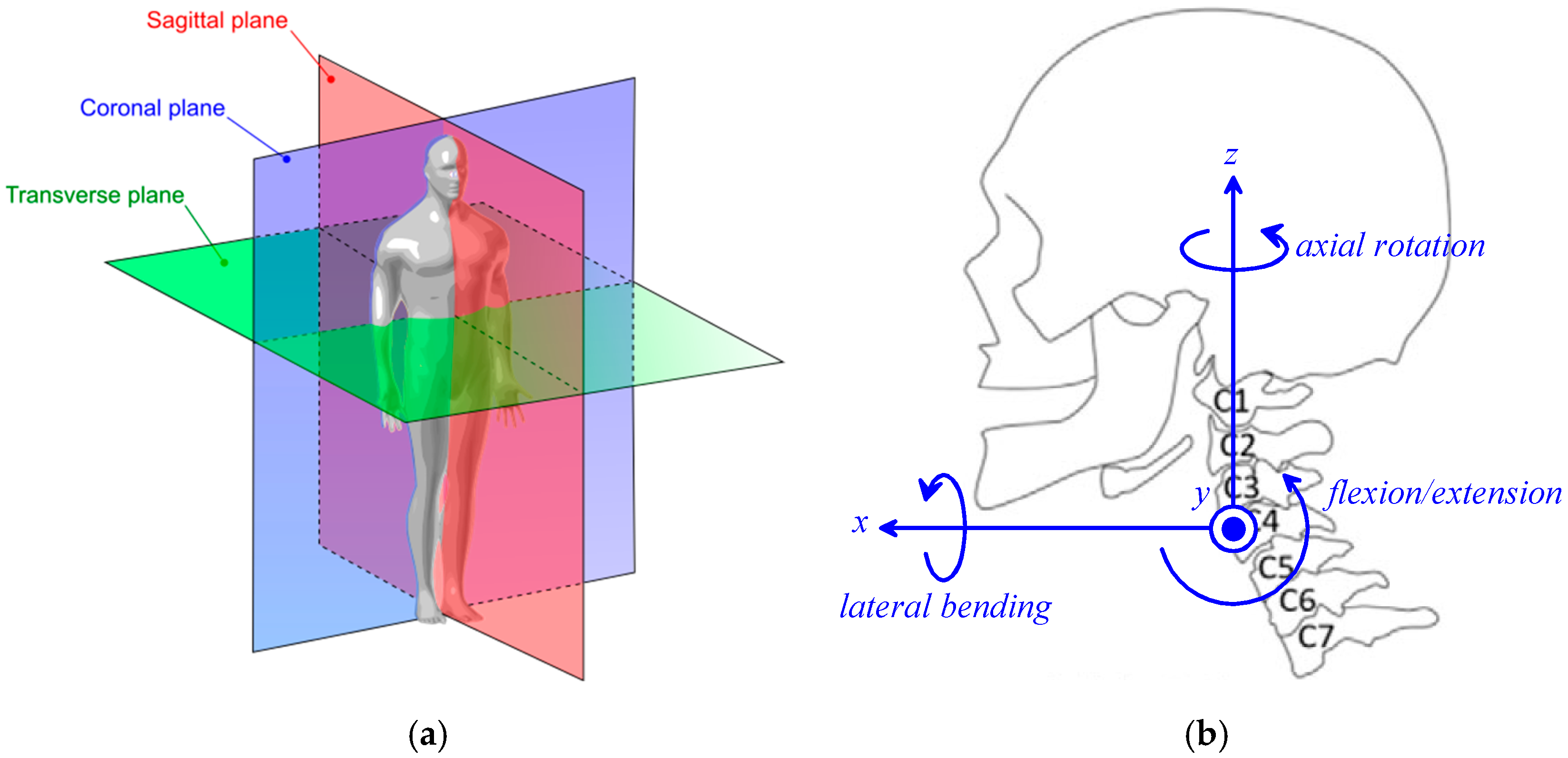 Biomimetics 10 00814 g001