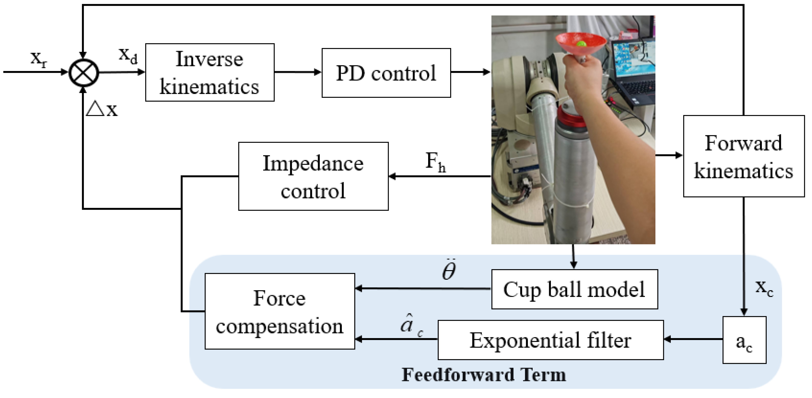 Biomimetics 10 00815 g004