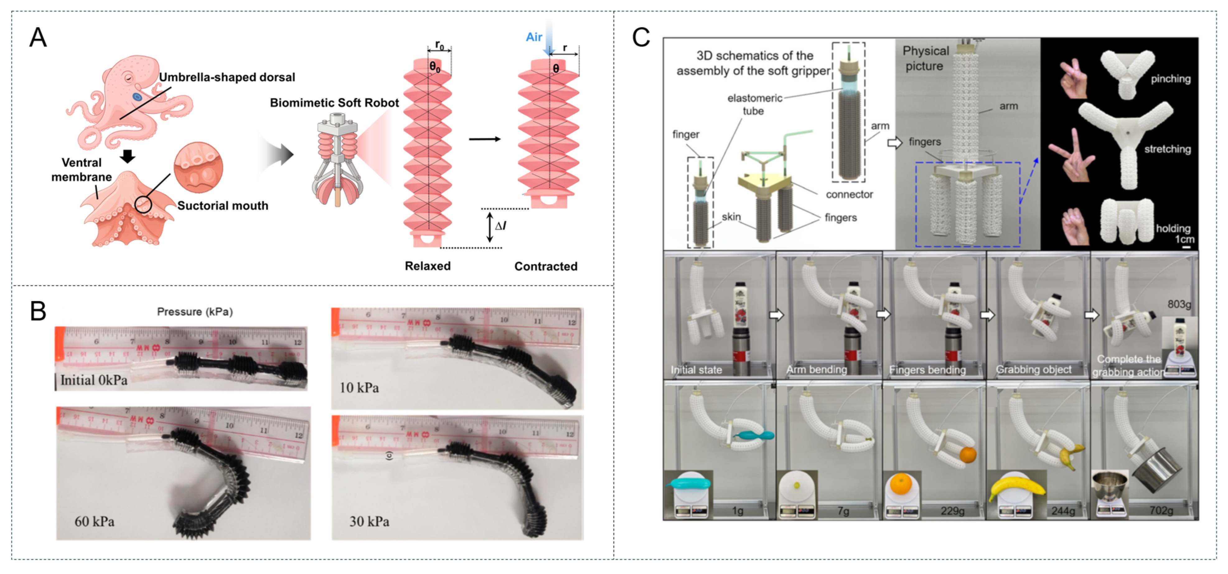 Biomimetics 10 00816 g003