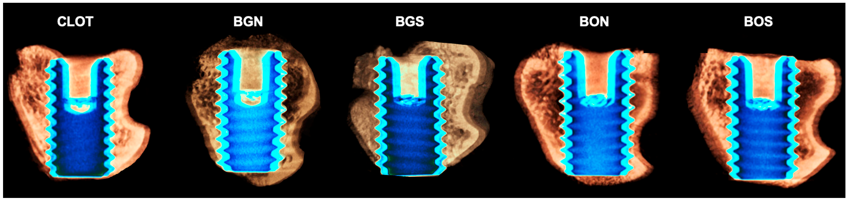 Biomimetics 10 00821 g005 Biomimetics 10 00821 g005