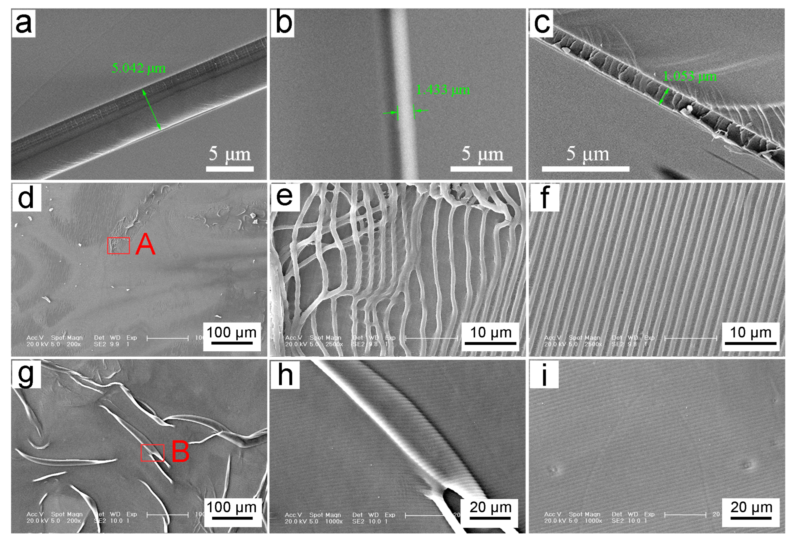 Biomimetics 10 00829 g004