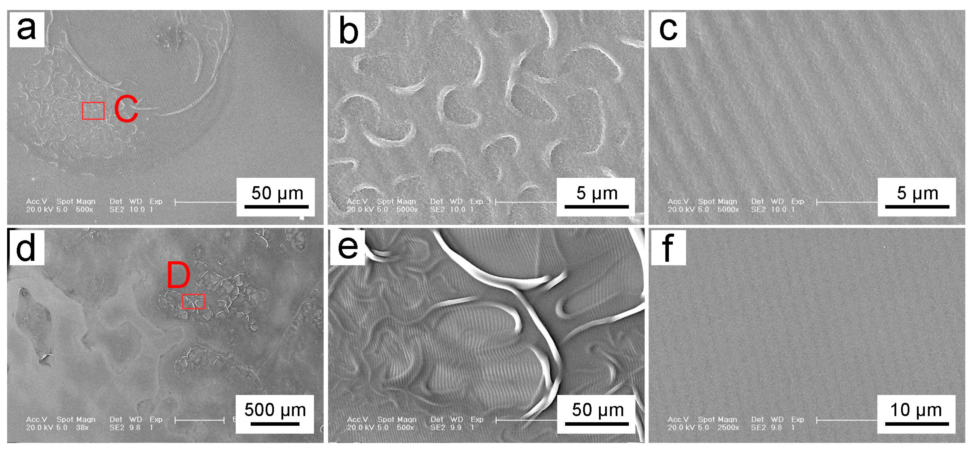 Biomimetics 10 00829 g005