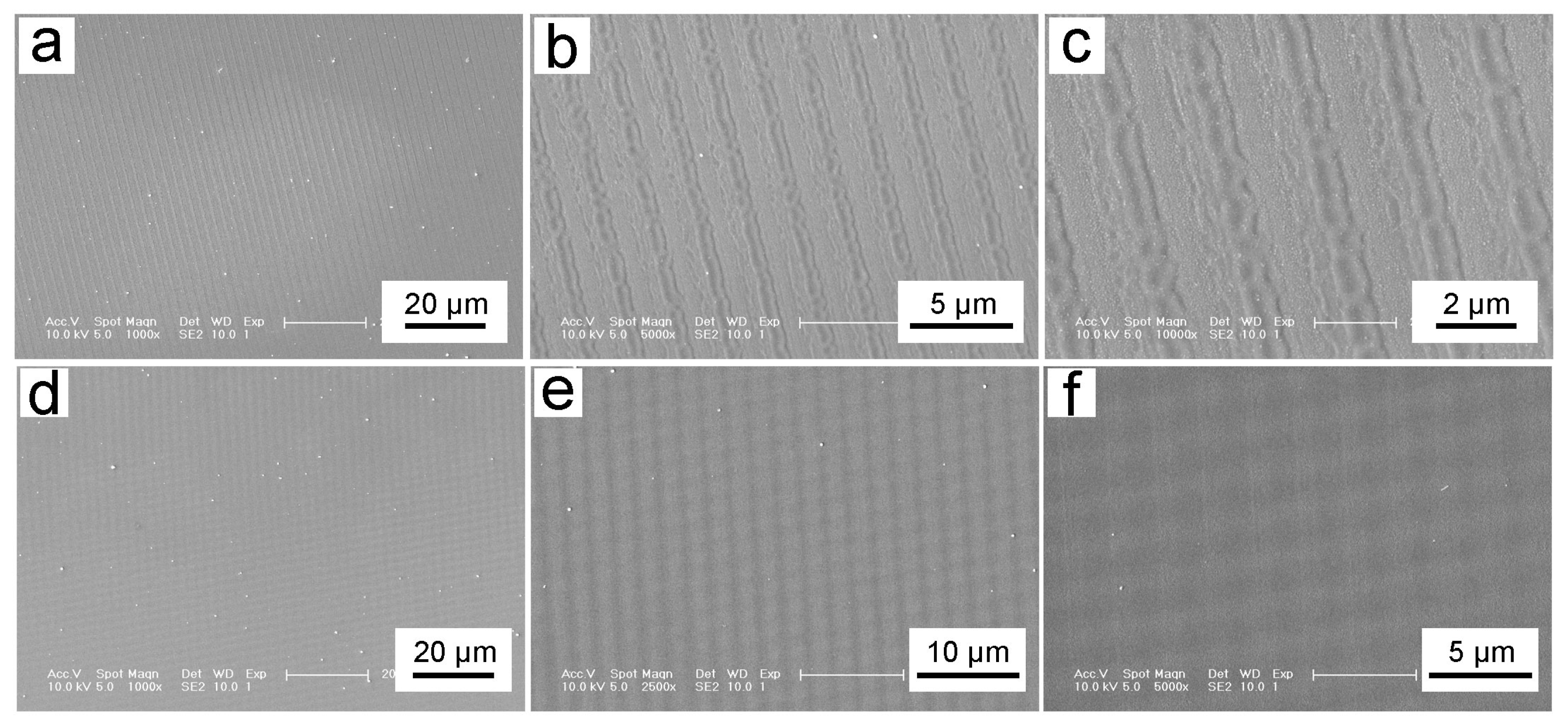 Biomimetics 10 00829 g006