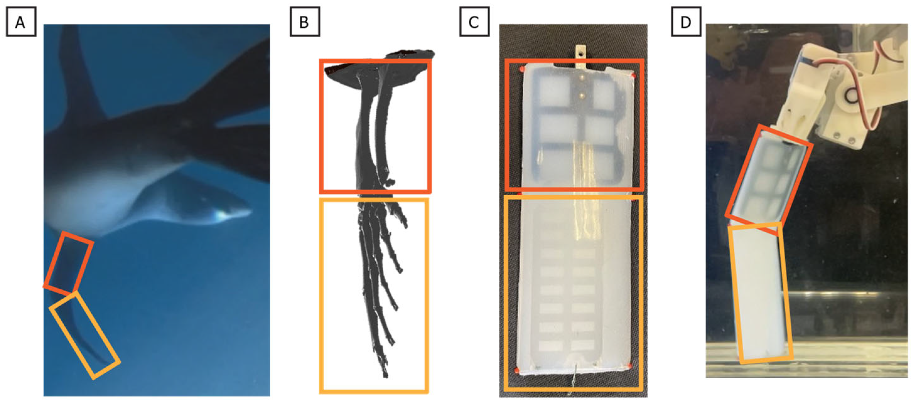 Biomimetics 10 00831 g005