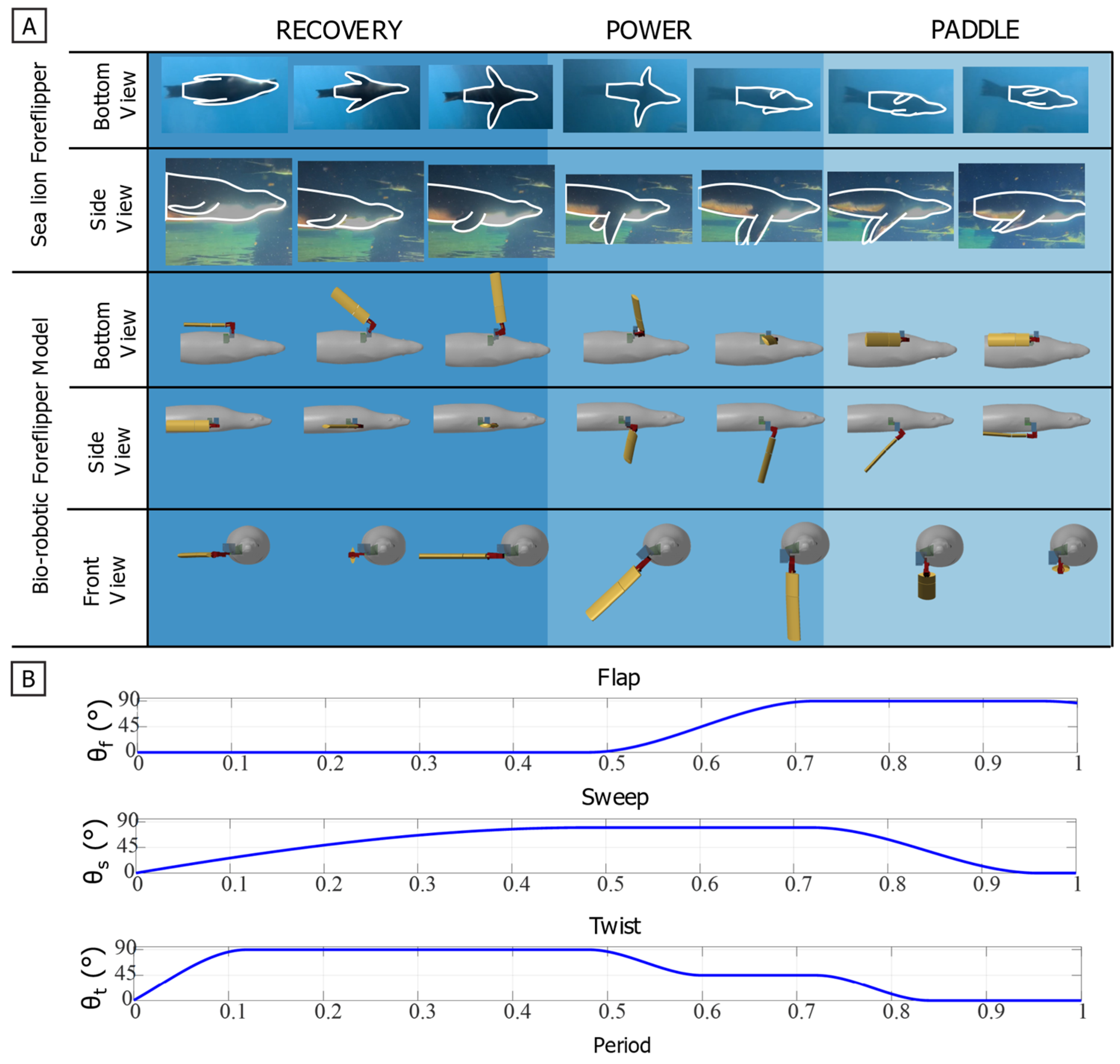 Biomimetics 10 00831 g007