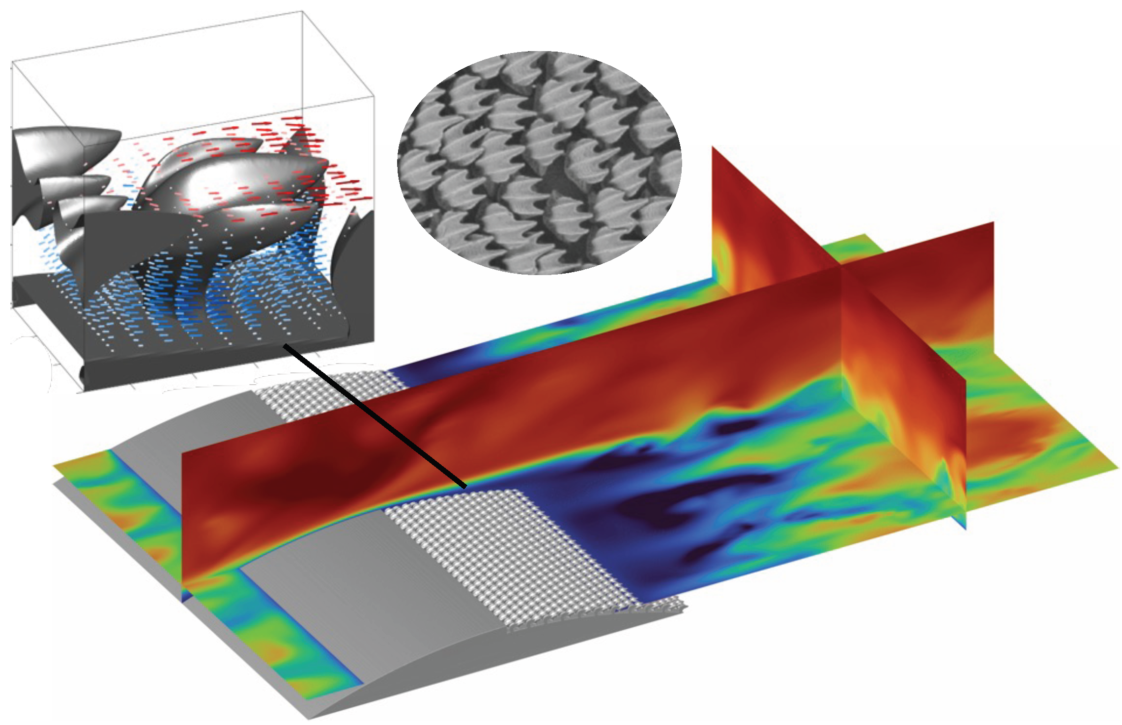 Biomimetics 10 00838 g001 Biomimetics 10 00838 g001