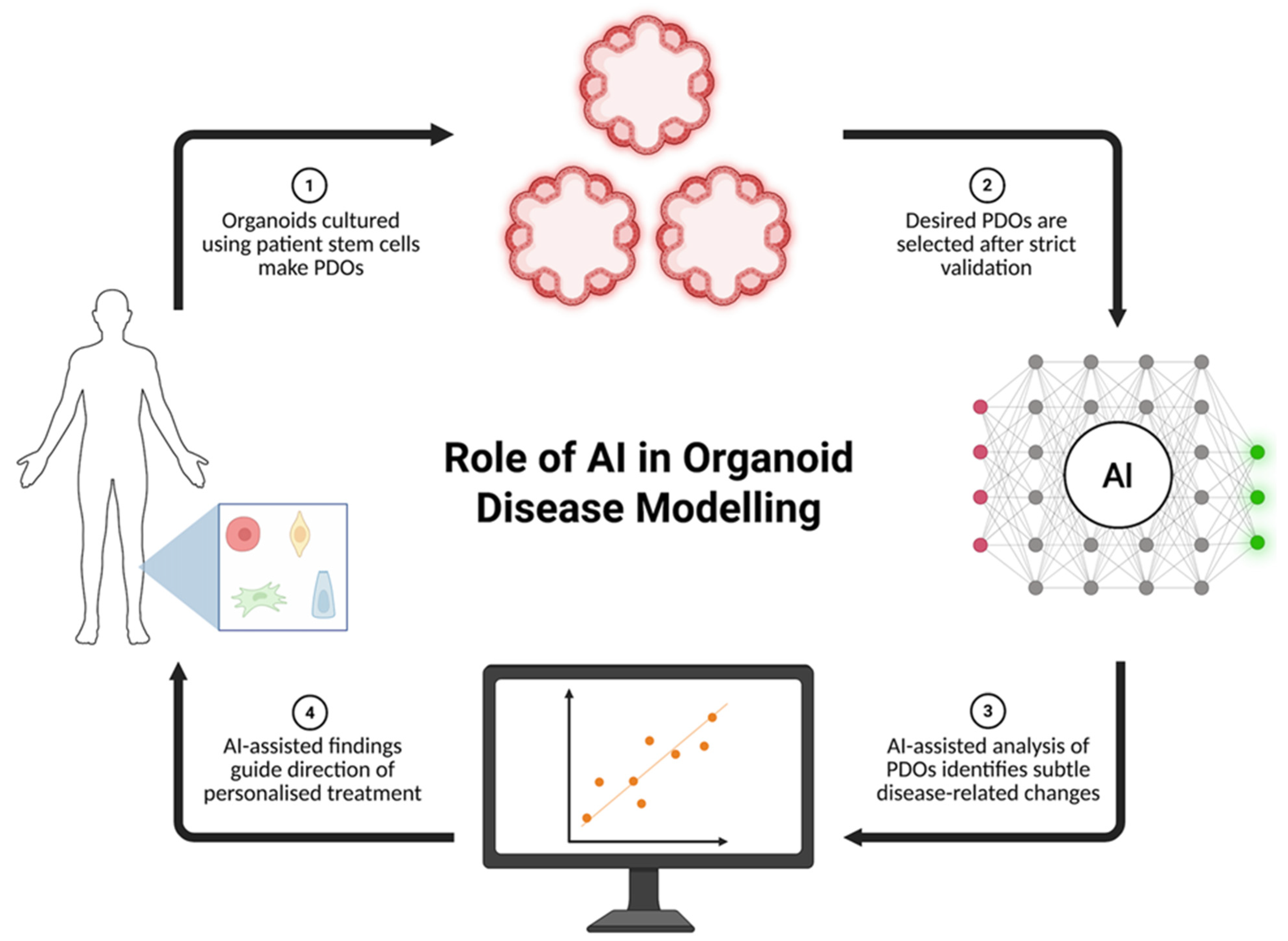 Biomimetics 10 00845 g001