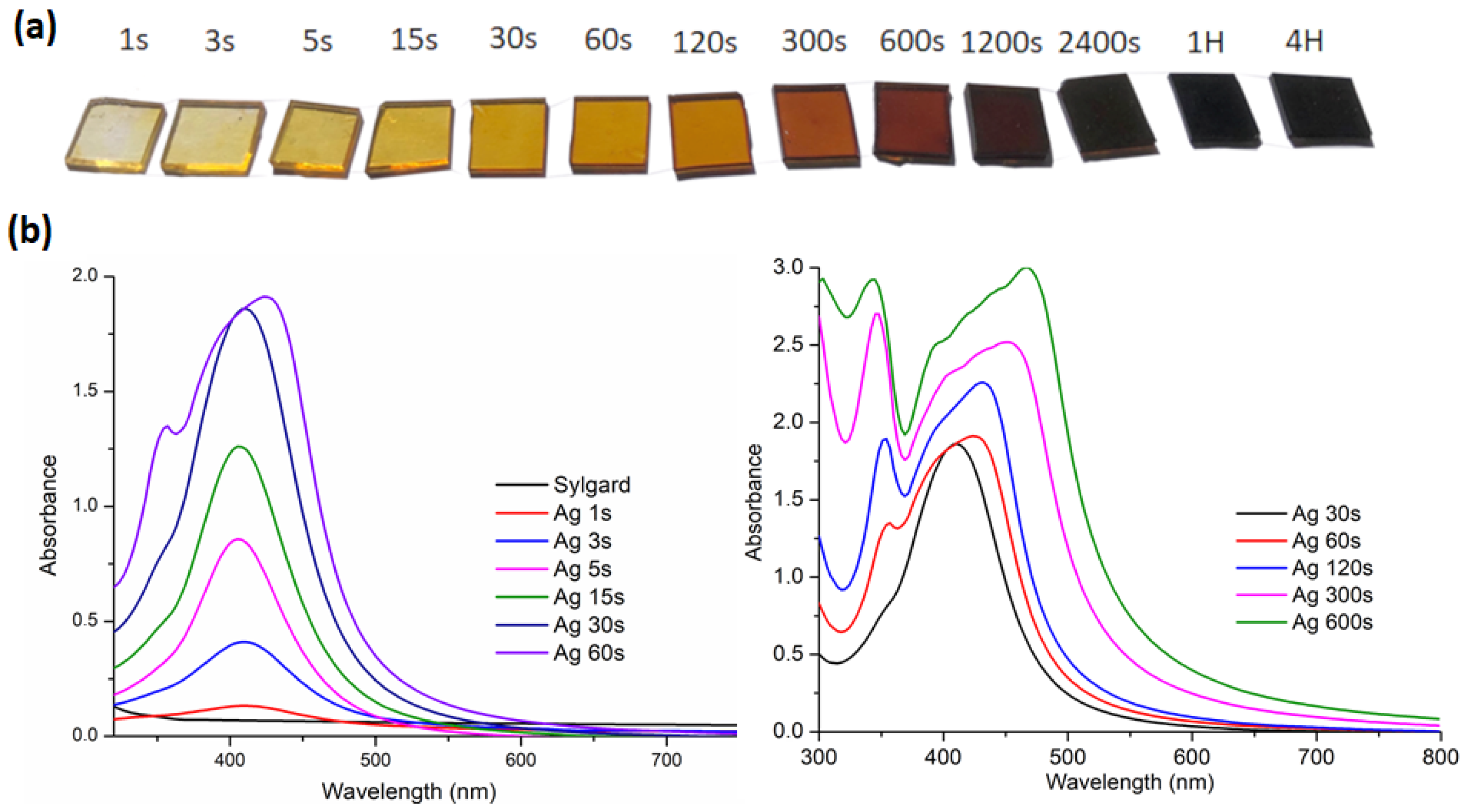 Biomimetics 10 00846 g001