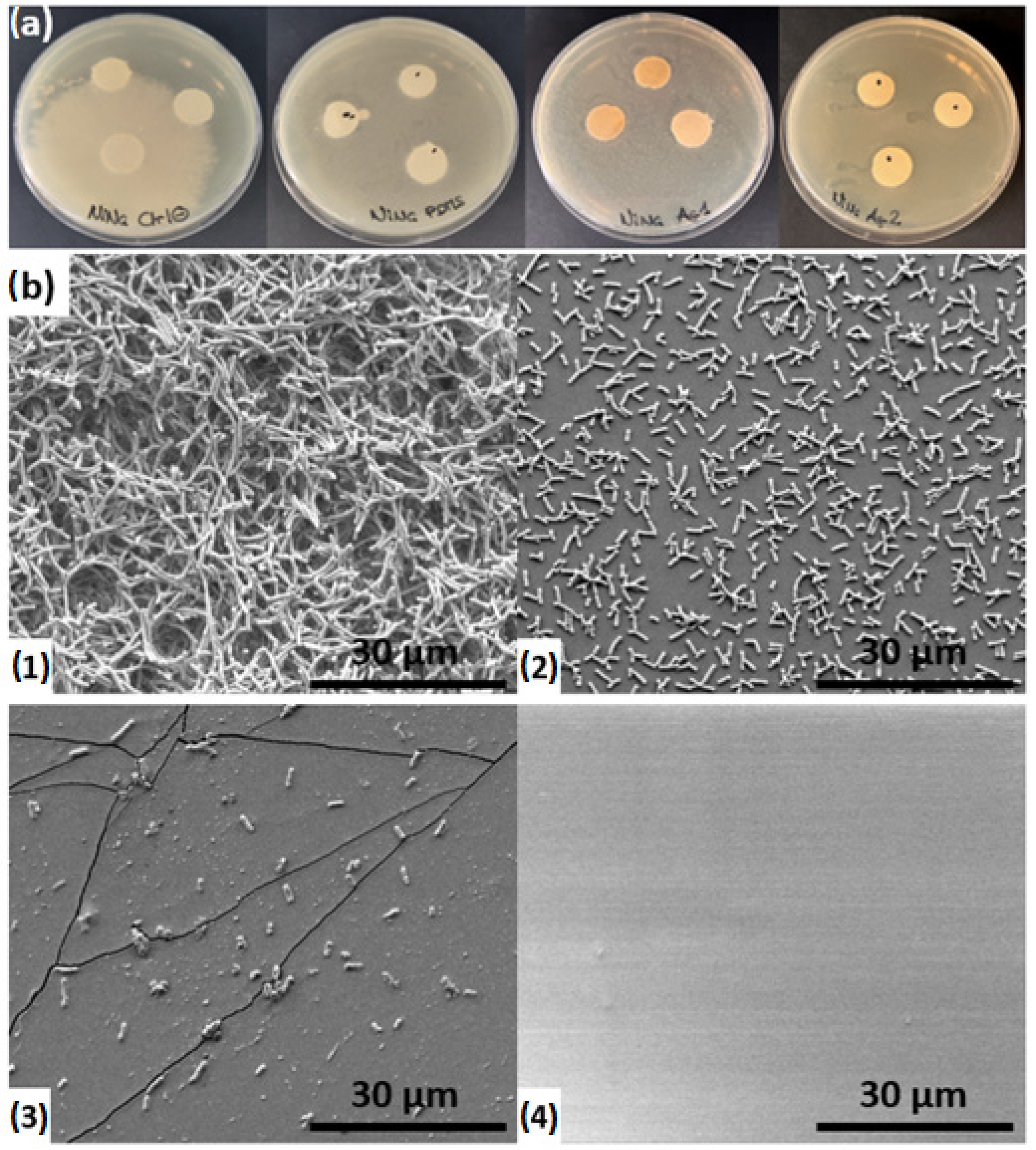 Biomimetics 10 00846 g010