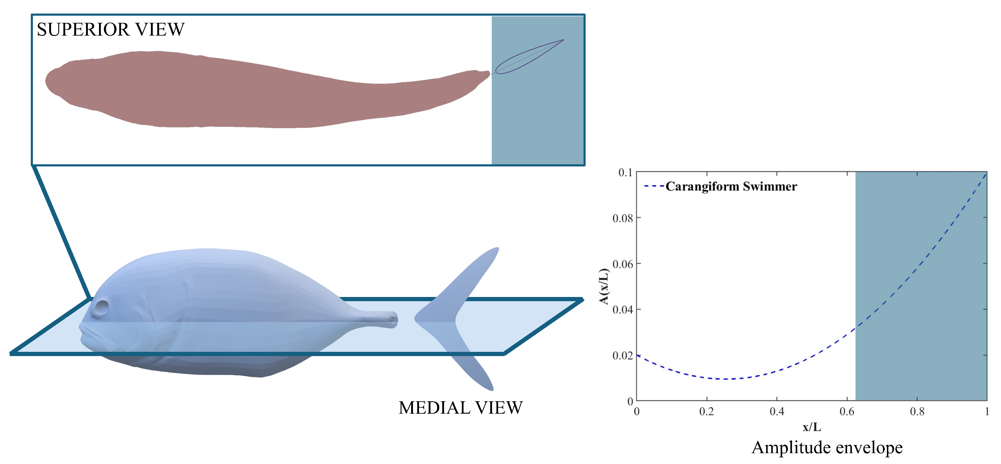 Biomimetics 10 00847 g001