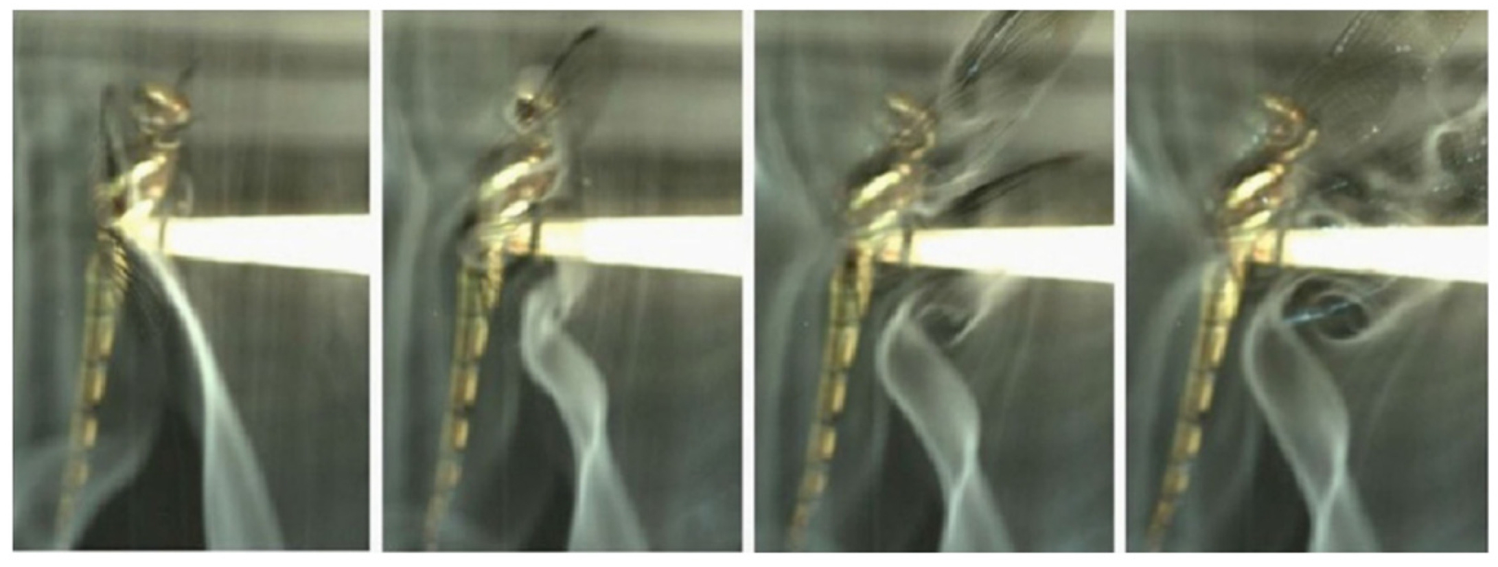 Biomimetics 10 00849 g002