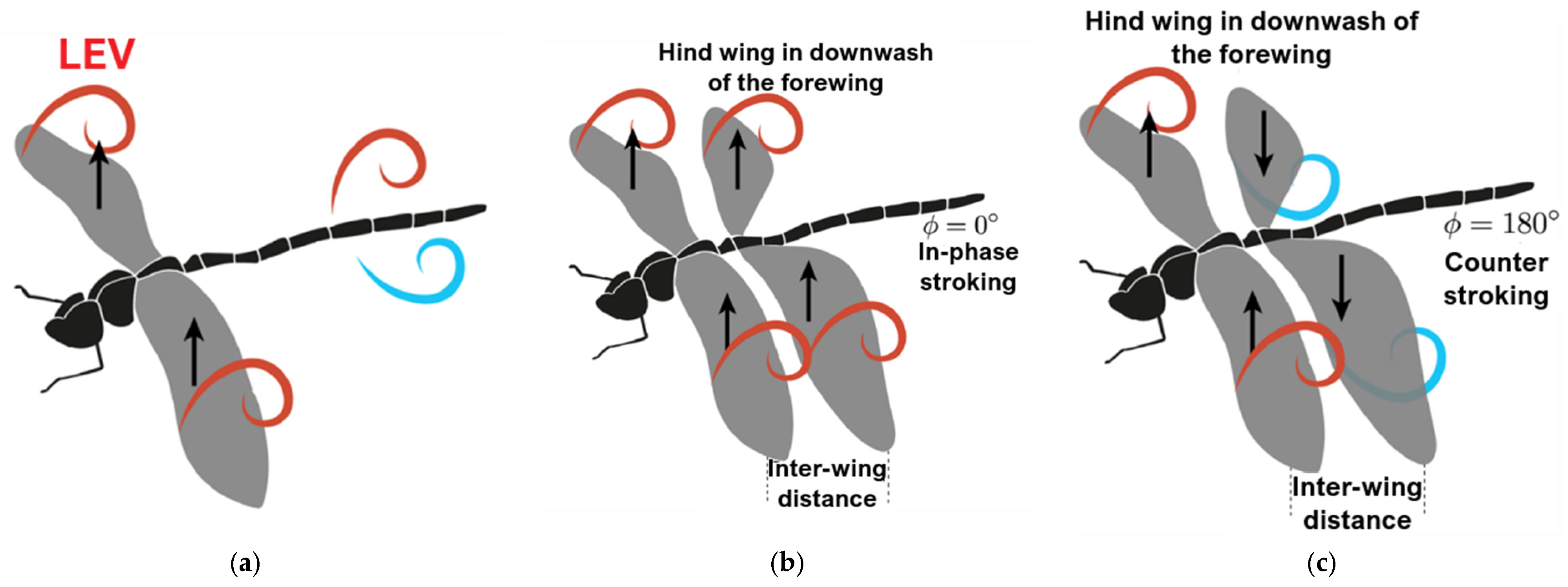 Biomimetics 10 00849 g005