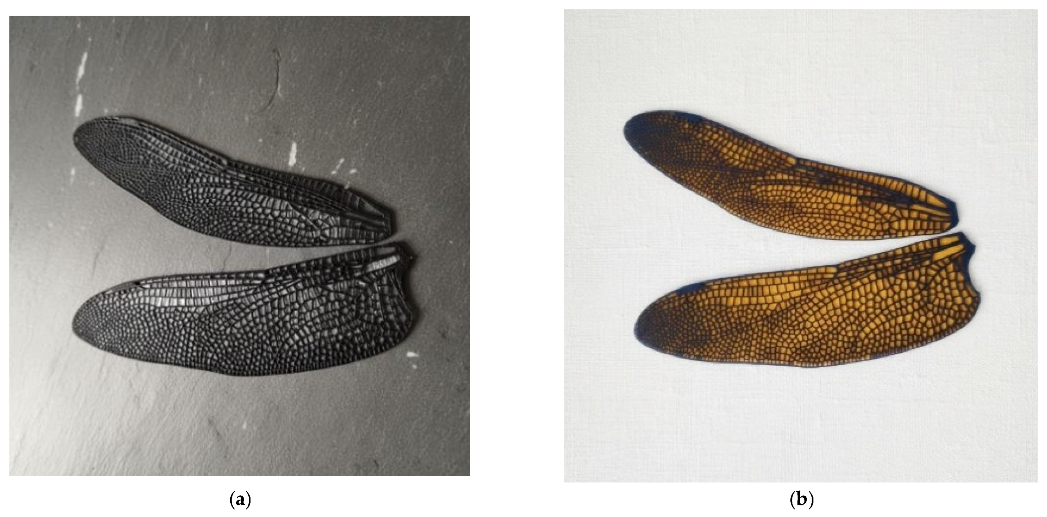 Biomimetics 10 00849 g010