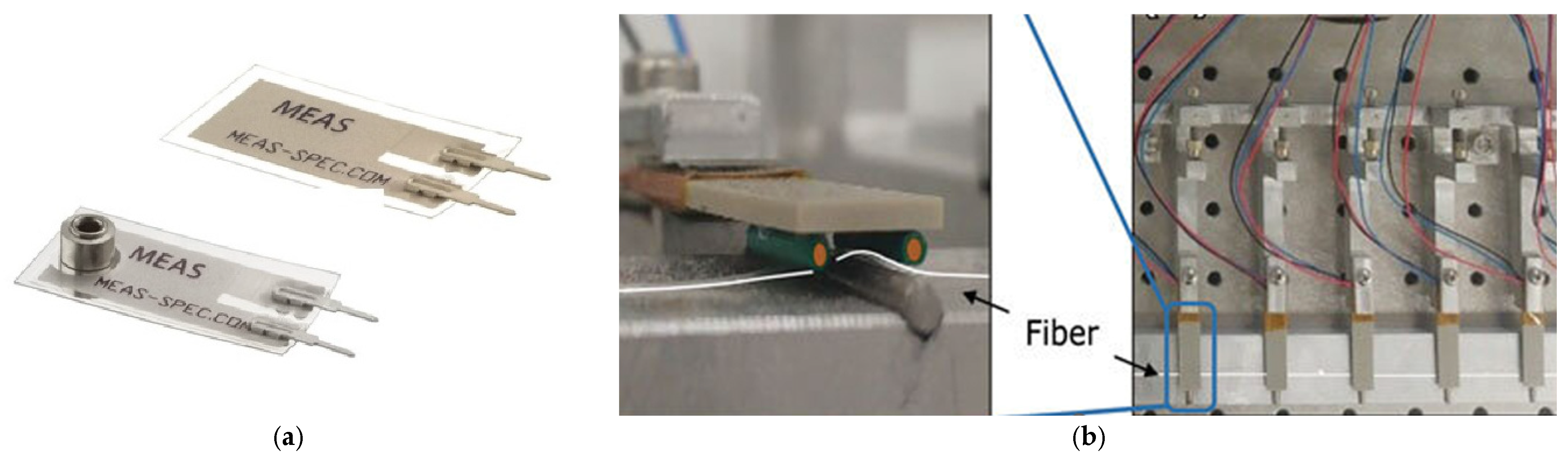 Biomimetics 10 00849 g016