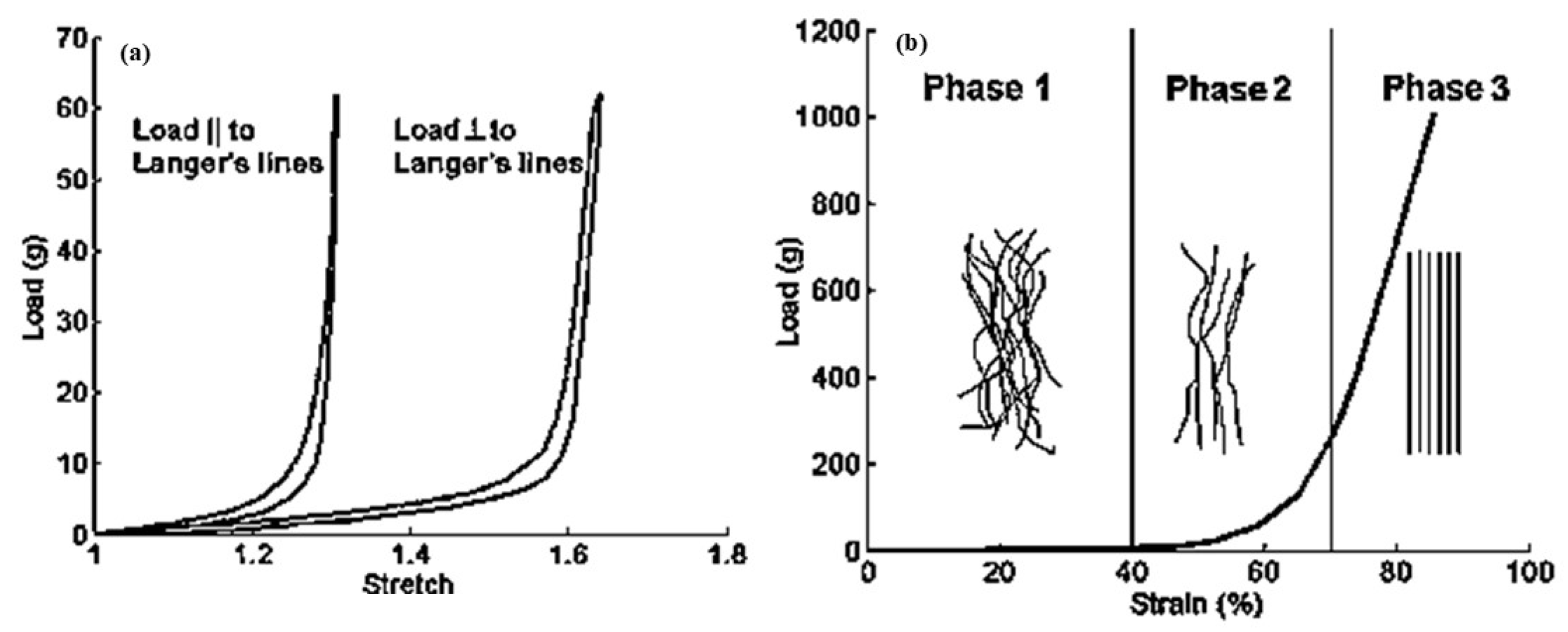 Biomimetics 11 00004 g004
