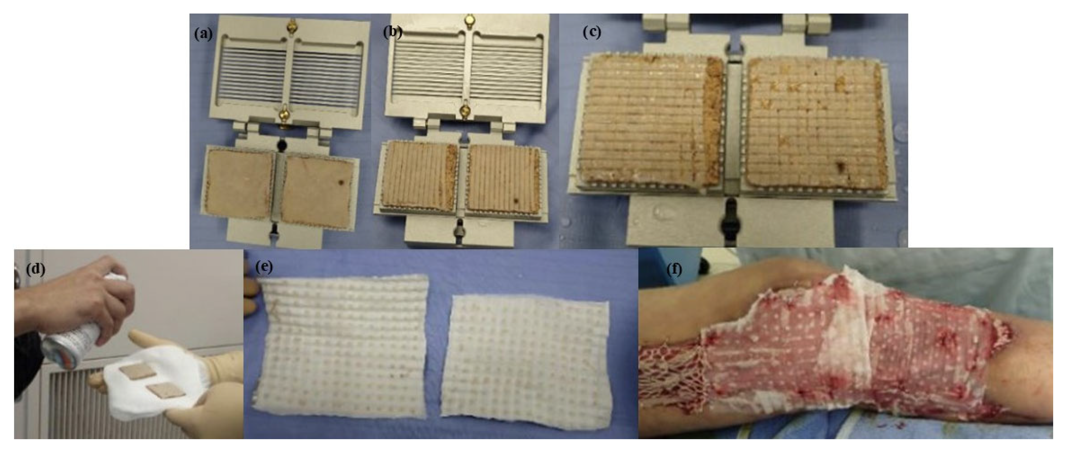 Biomimetics 11 00004 g006