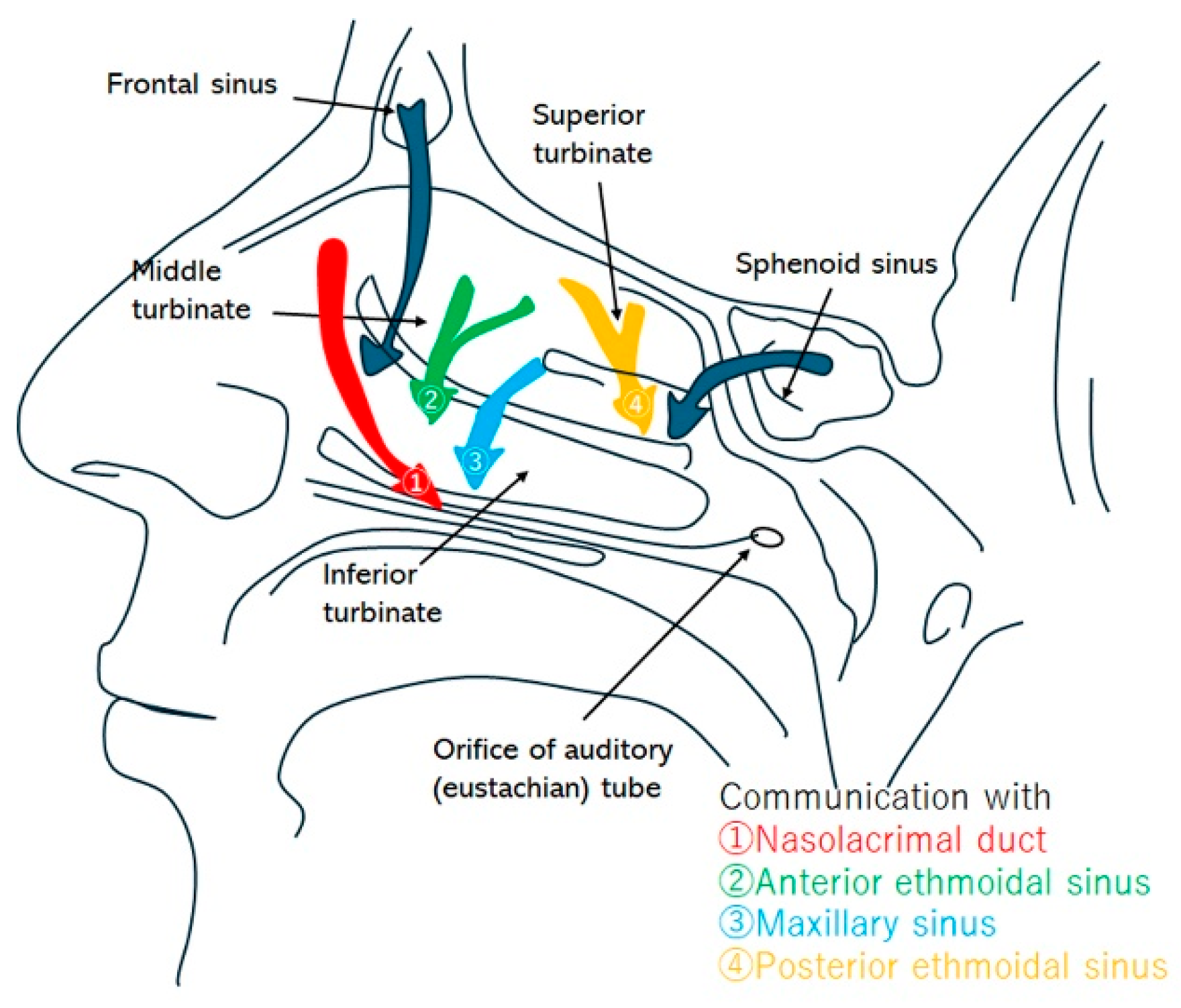 Biomimetics 11 00005 g002