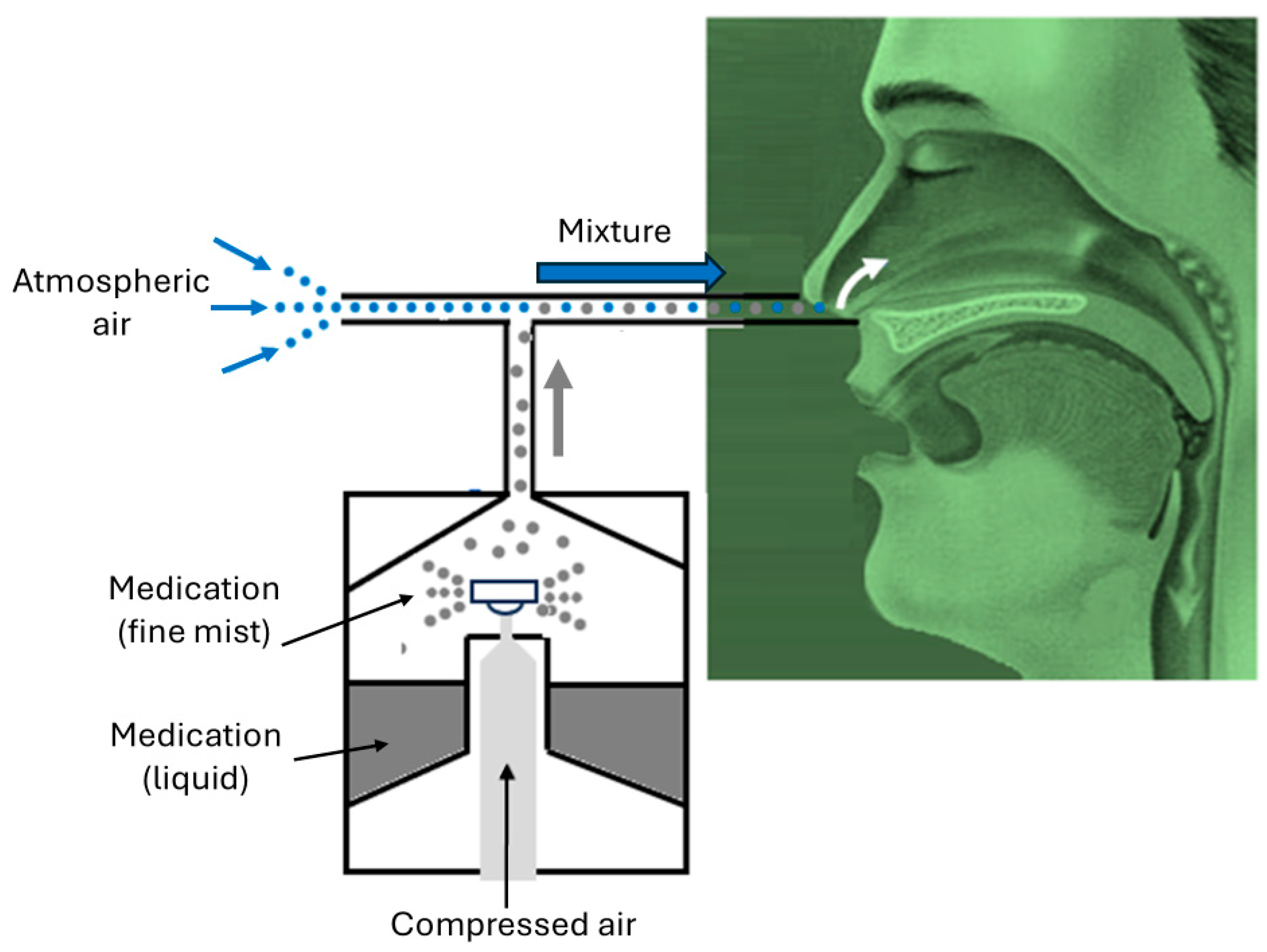 Biomimetics 11 00005 g003