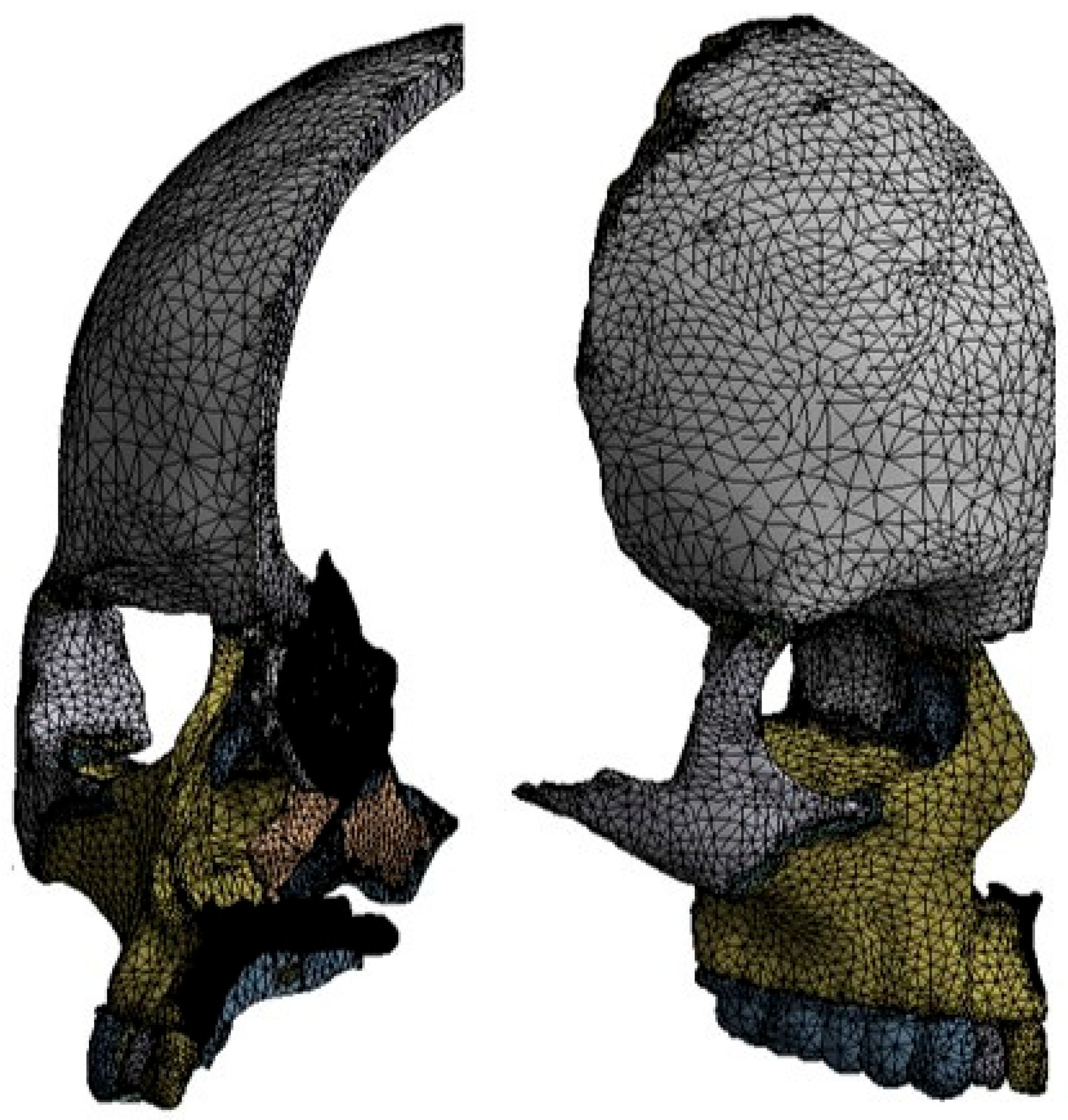 Biomimetics 11 00005 g004