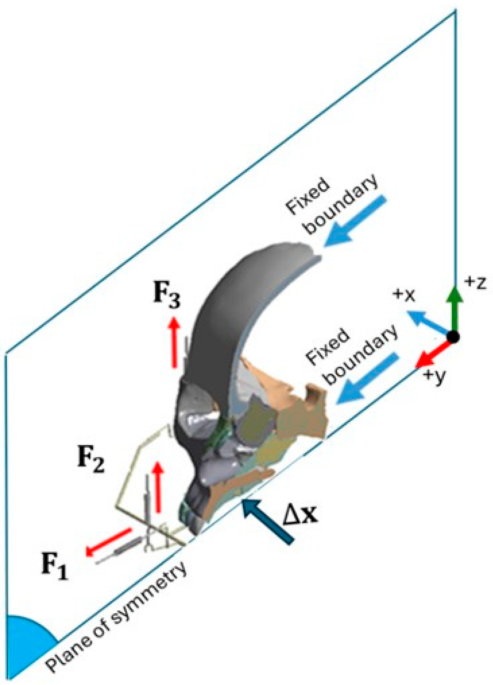 Biomimetics 11 00005 g005