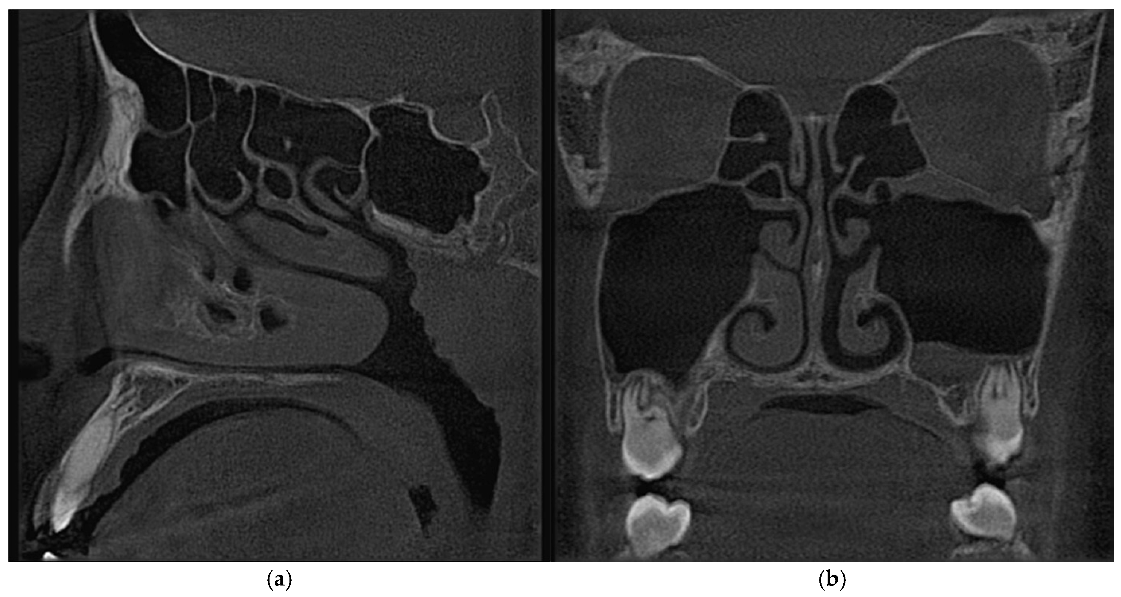 Biomimetics 11 00005 g006