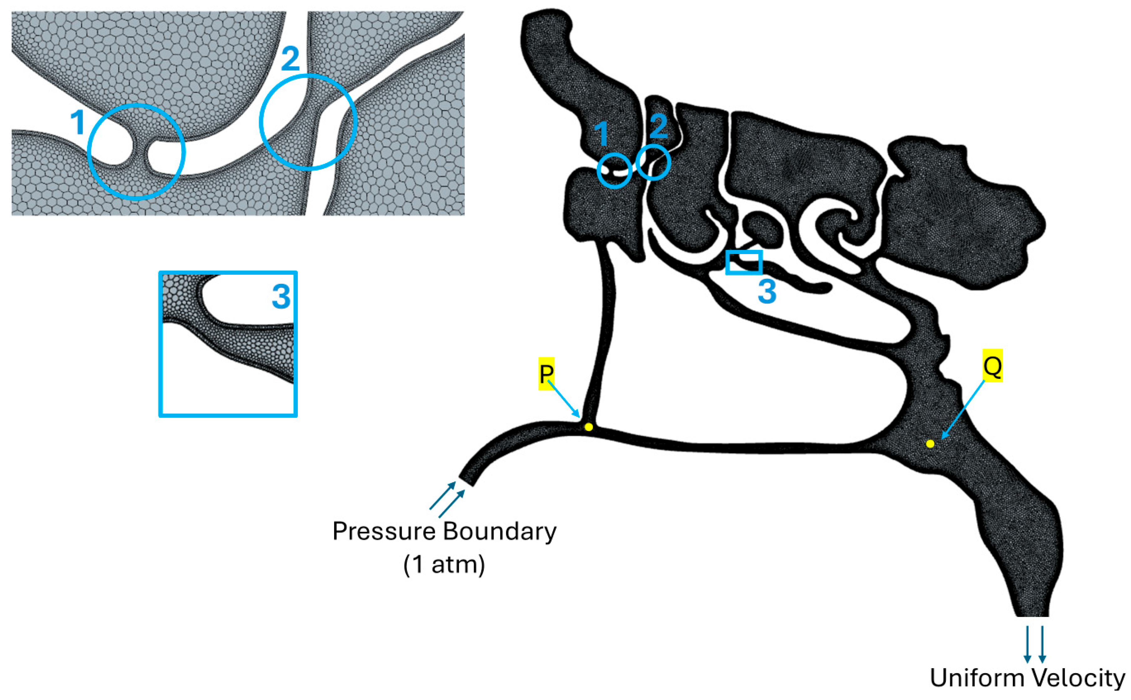 Biomimetics 11 00005 g007