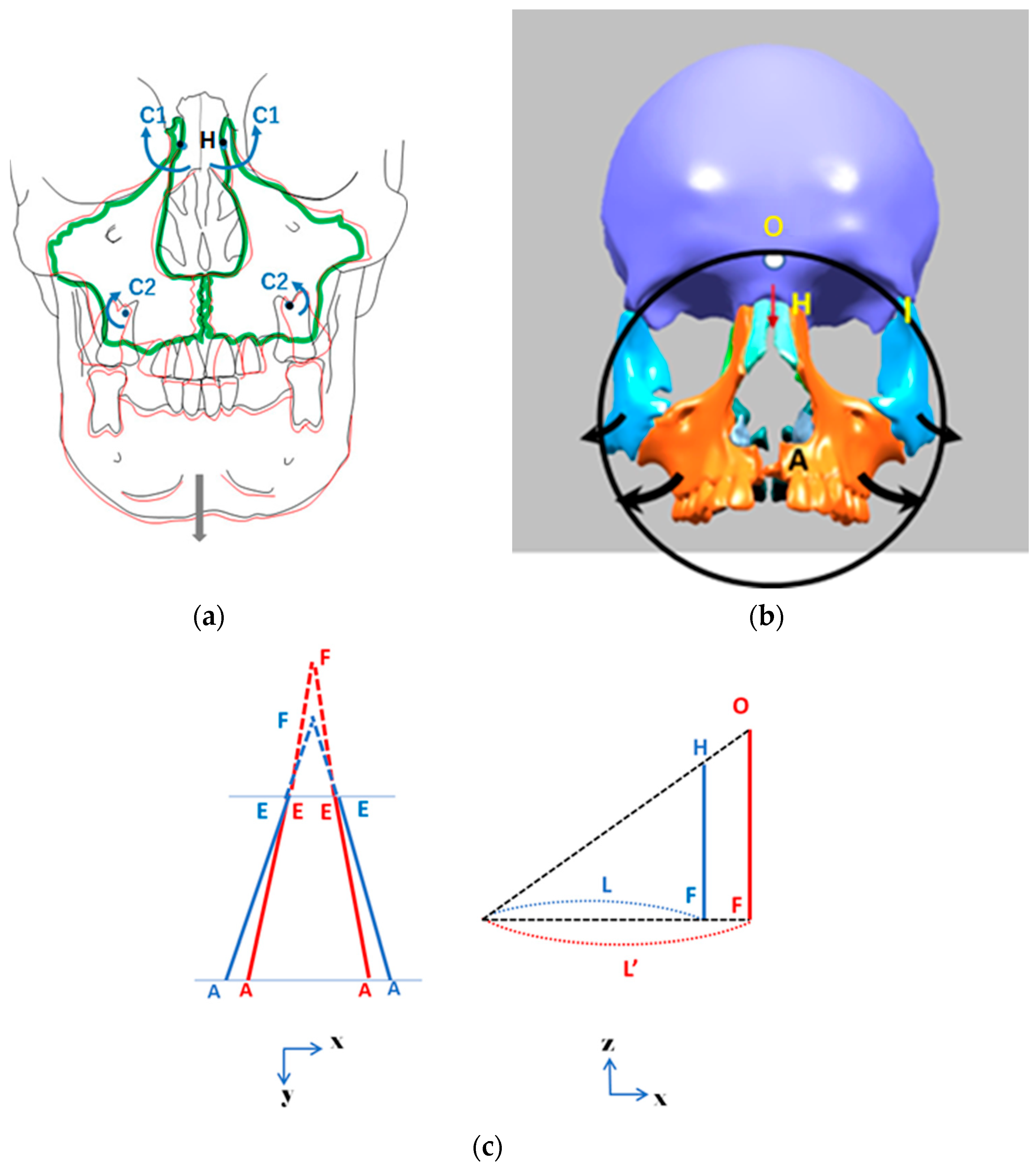 Biomimetics 11 00005 g009