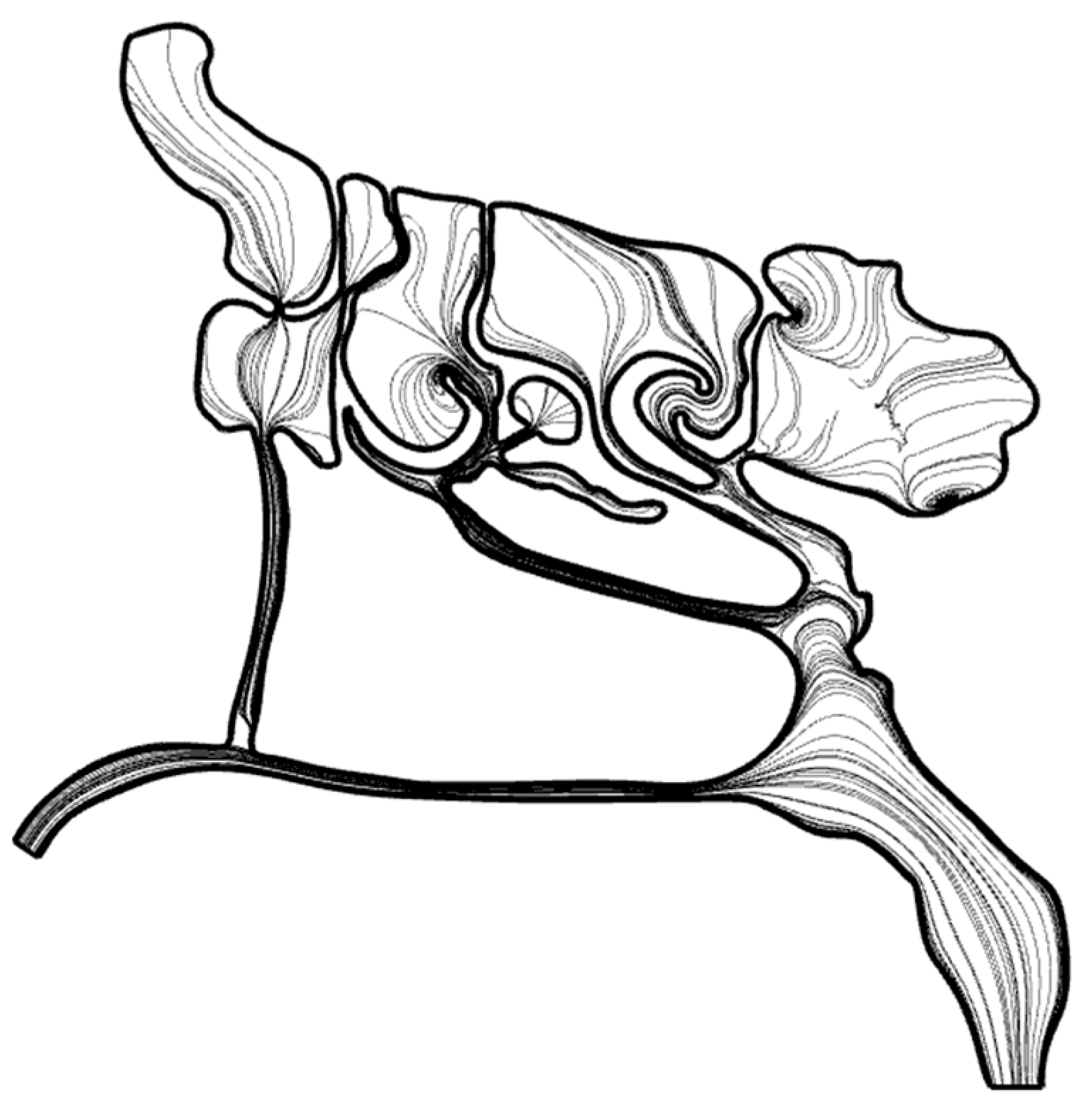 Biomimetics 11 00005 g015