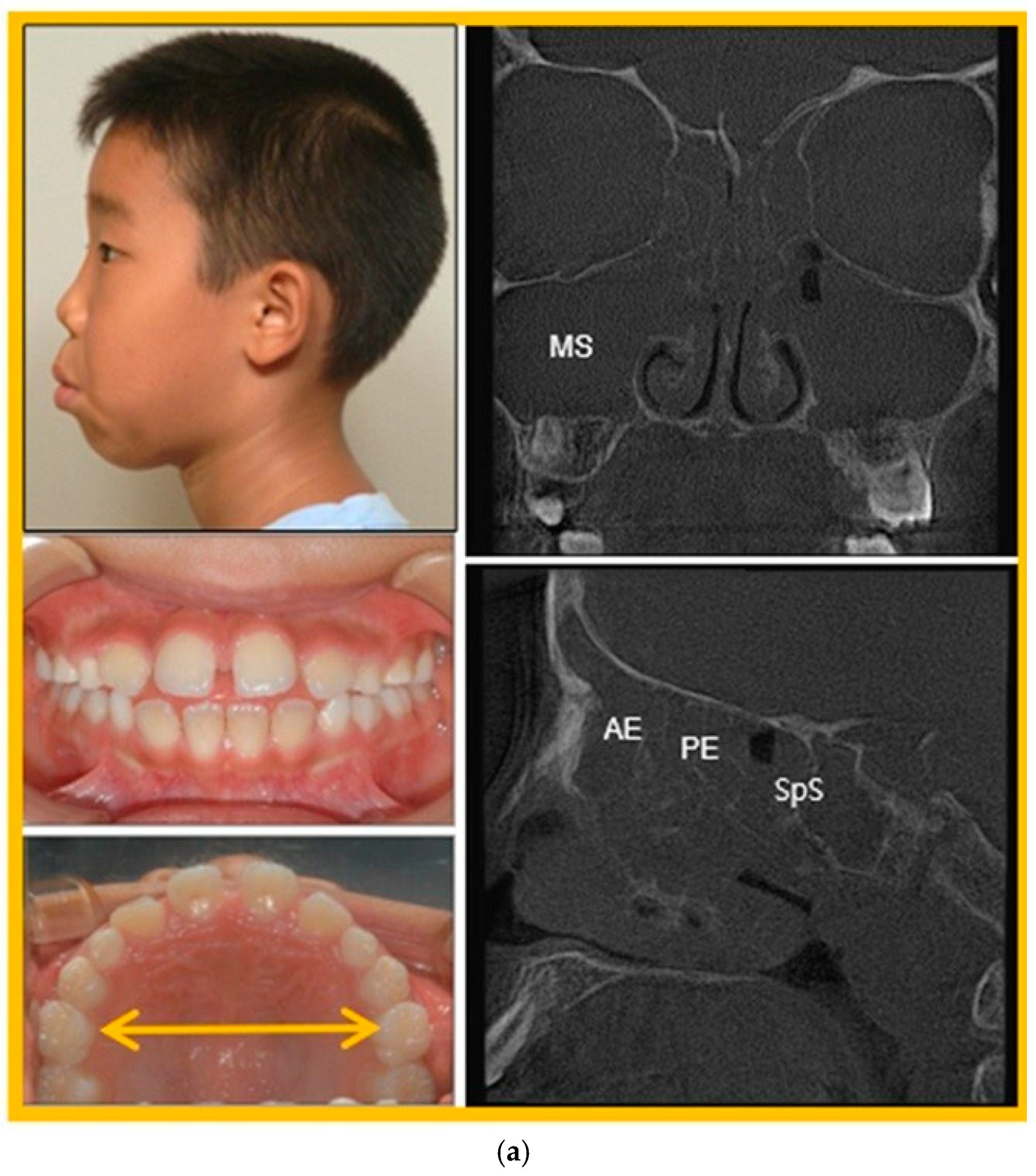 Biomimetics 11 00005 g017a