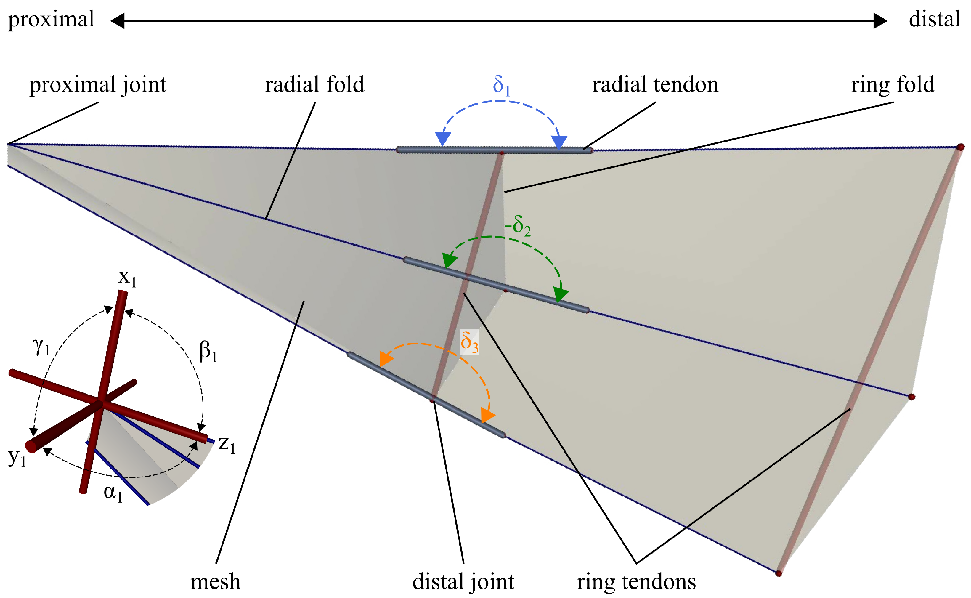 Biomimetics 11 00009 g004