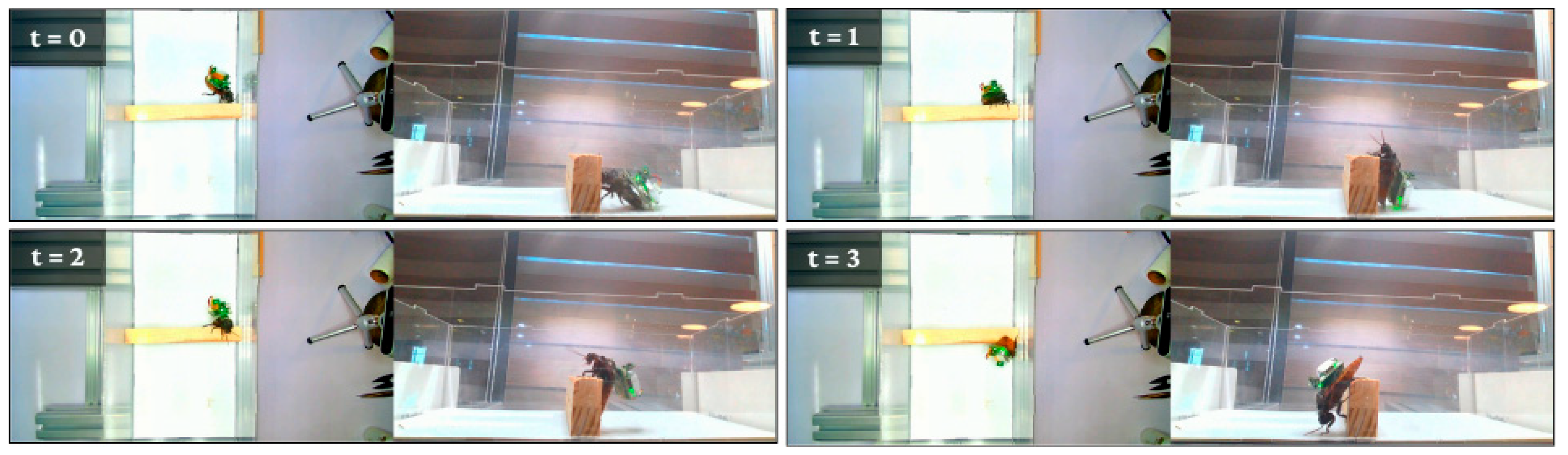 Biomimetics 11 00013 g010