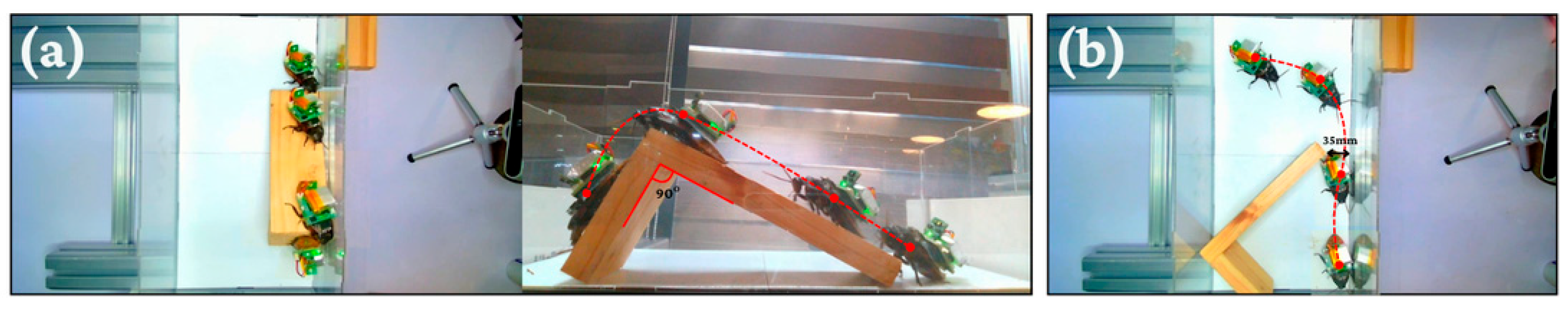 Biomimetics 11 00013 g011