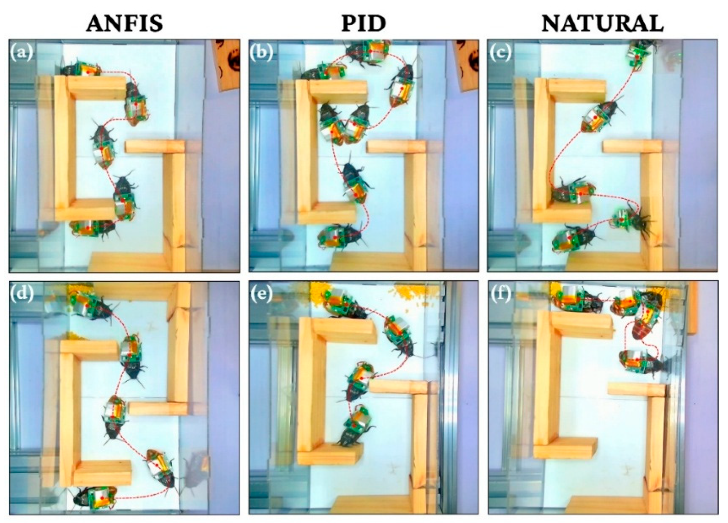Biomimetics 11 00013 g012