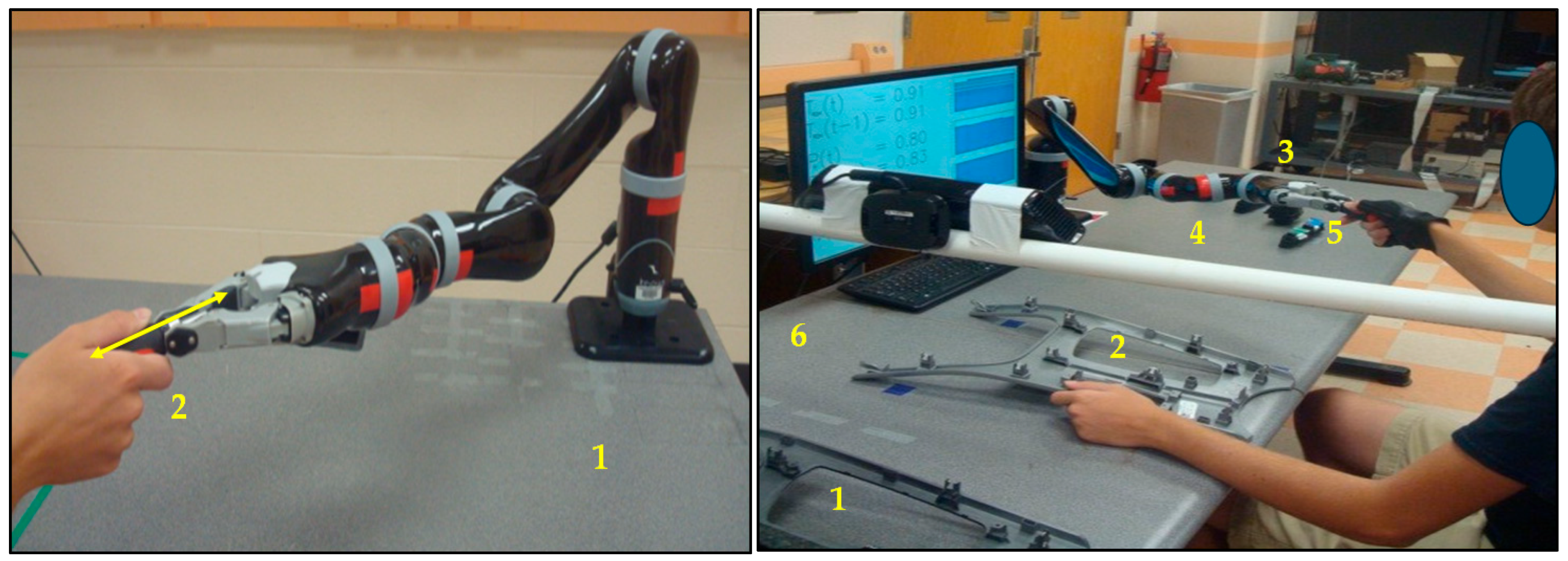 Biomimetics 11 00014 g001
